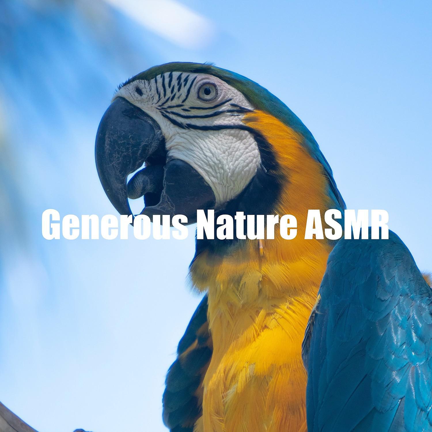 Постер альбома Generous Nature ASMR