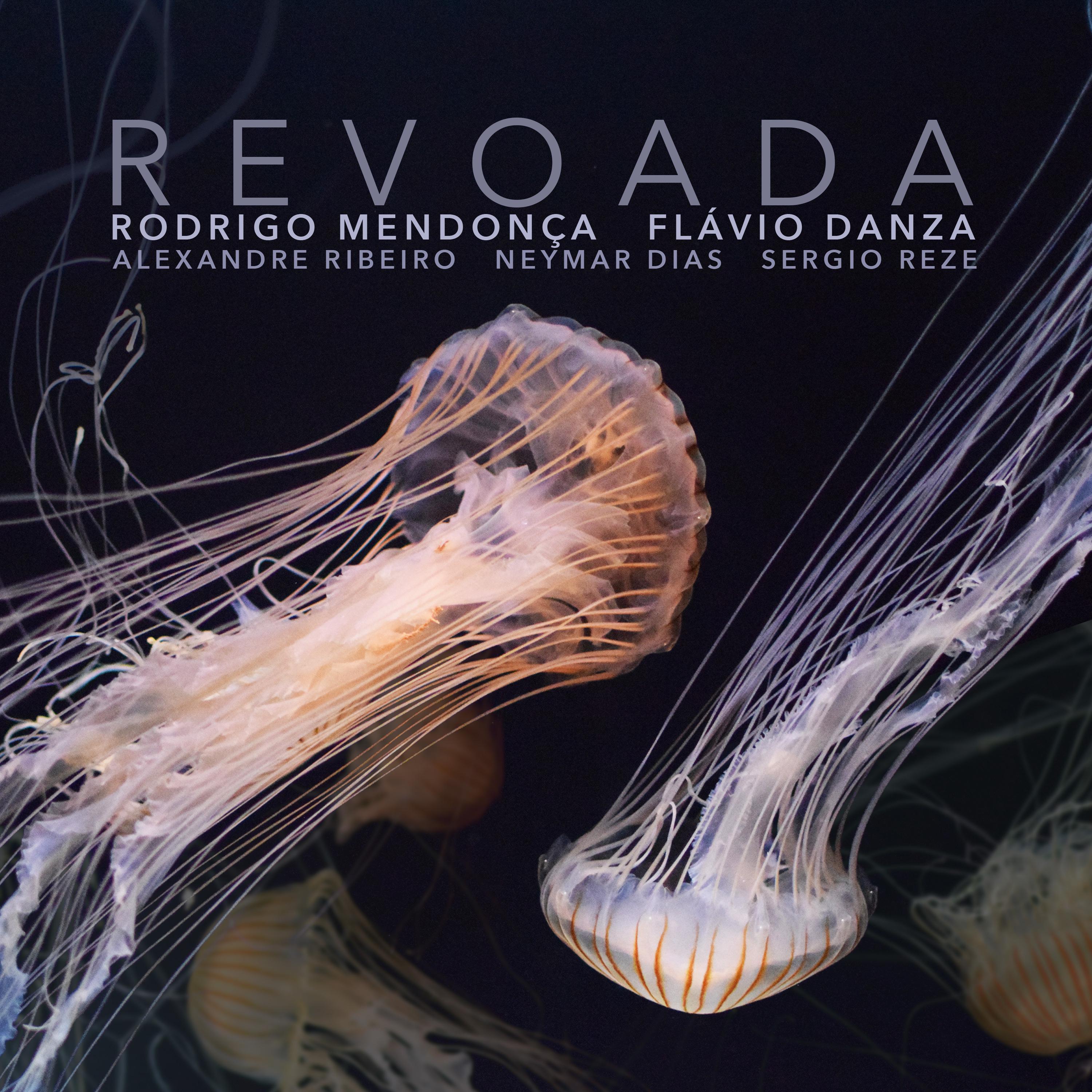 Постер альбома Revoada