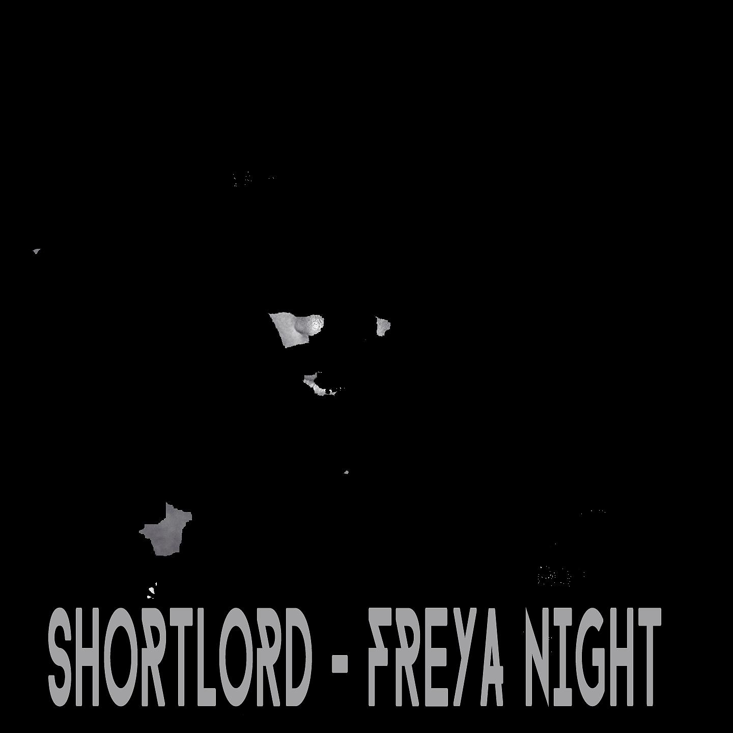 Постер альбома Freya Night