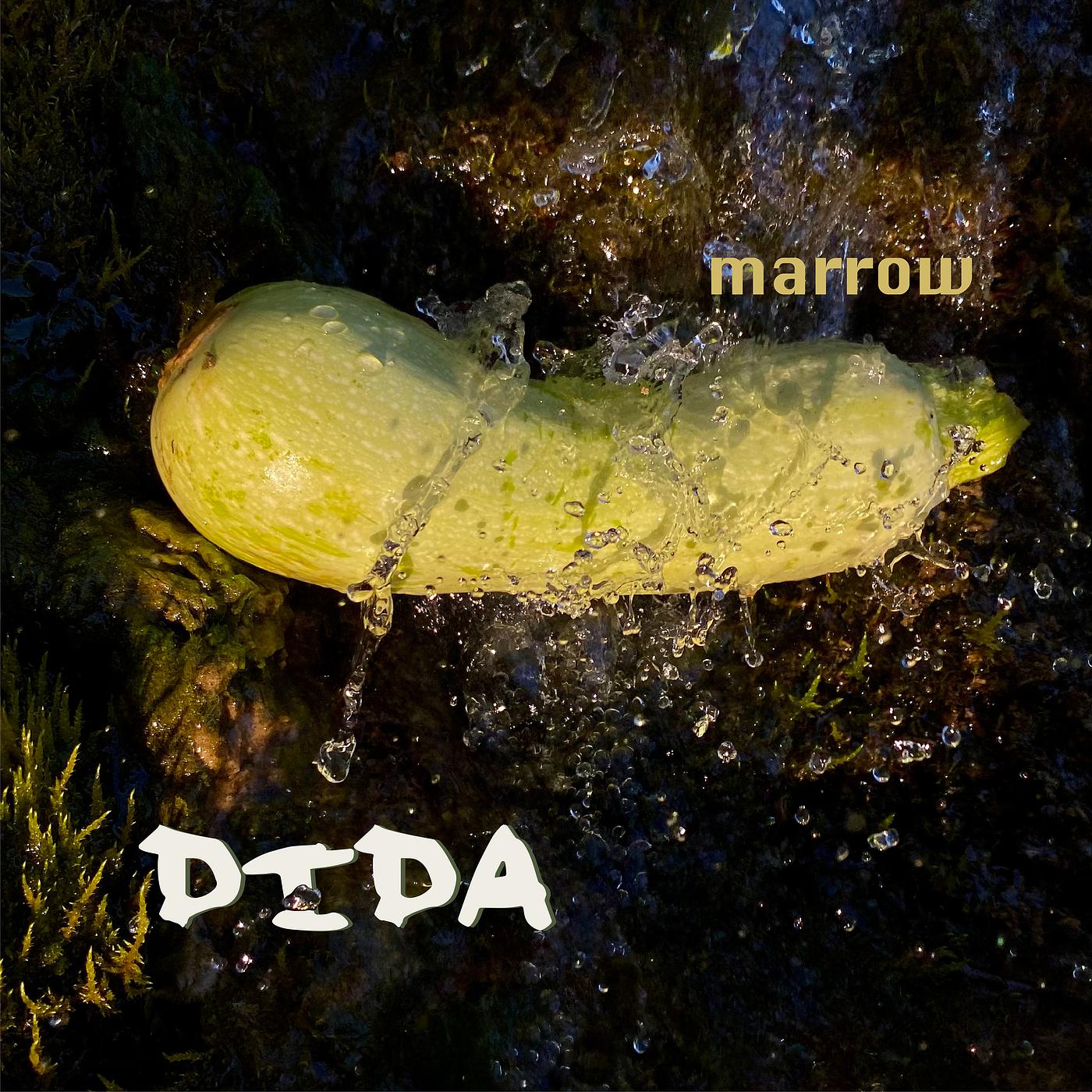 Постер альбома Marrow