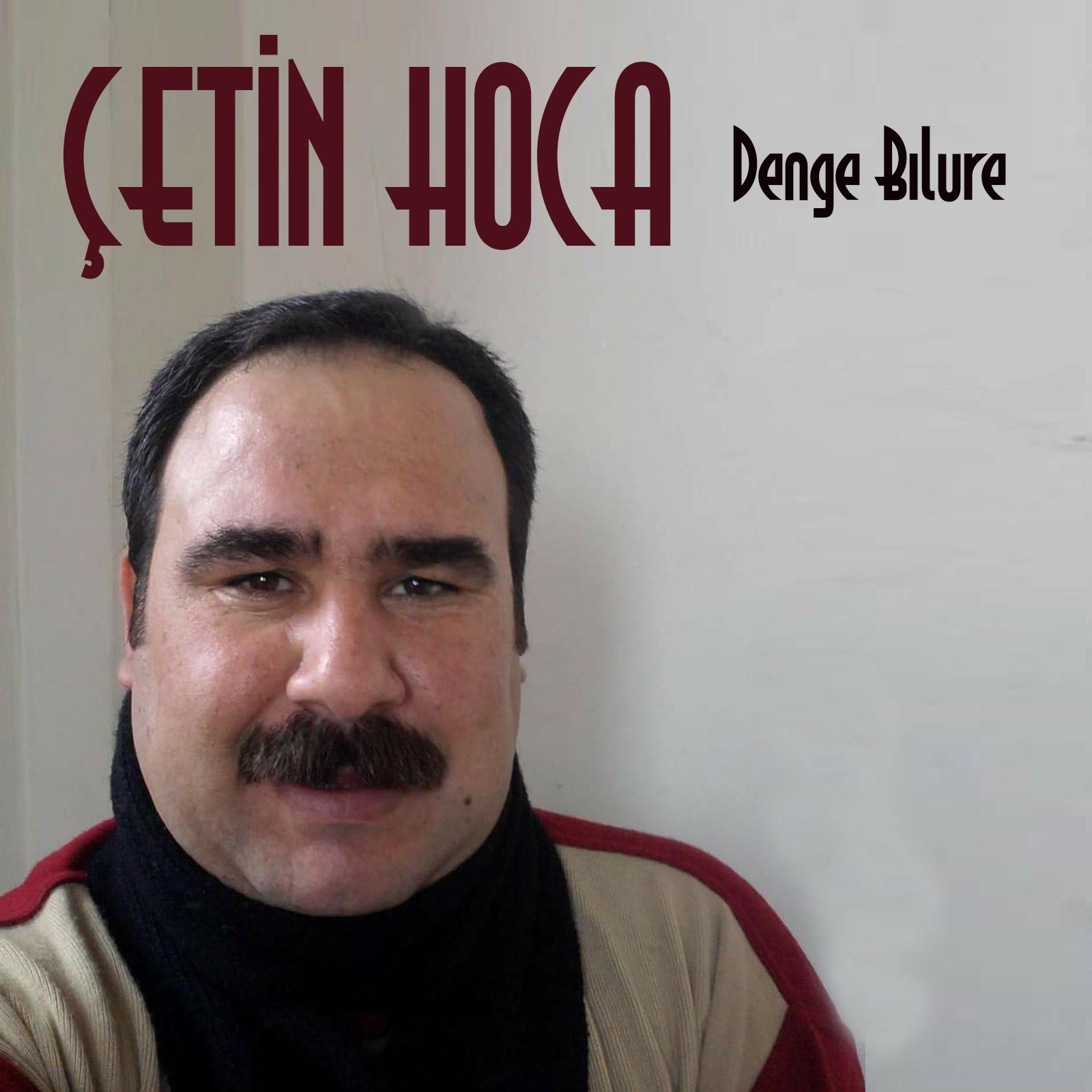 Постер альбома Denge Bılure