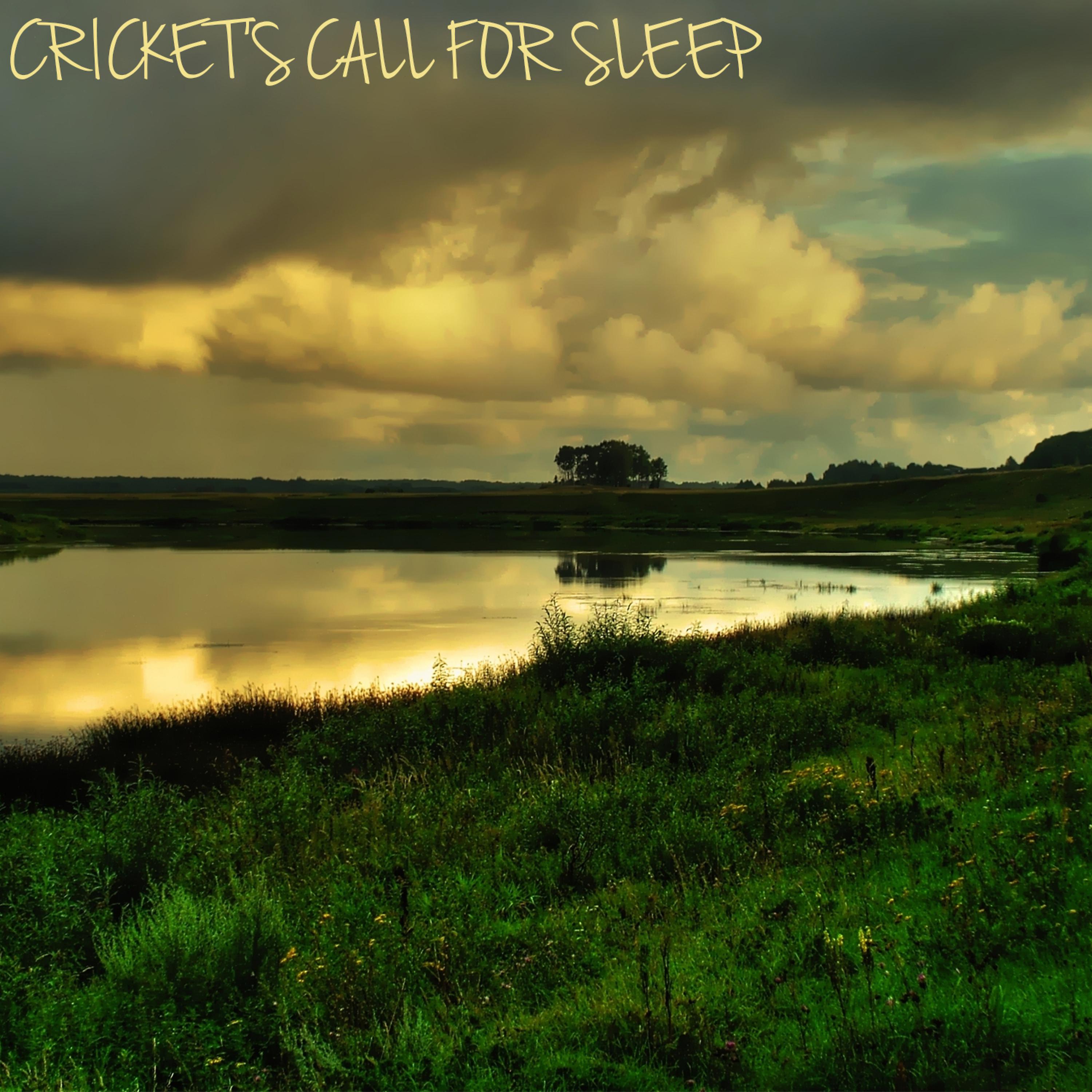 Постер альбома Cricket's Call for Sleep