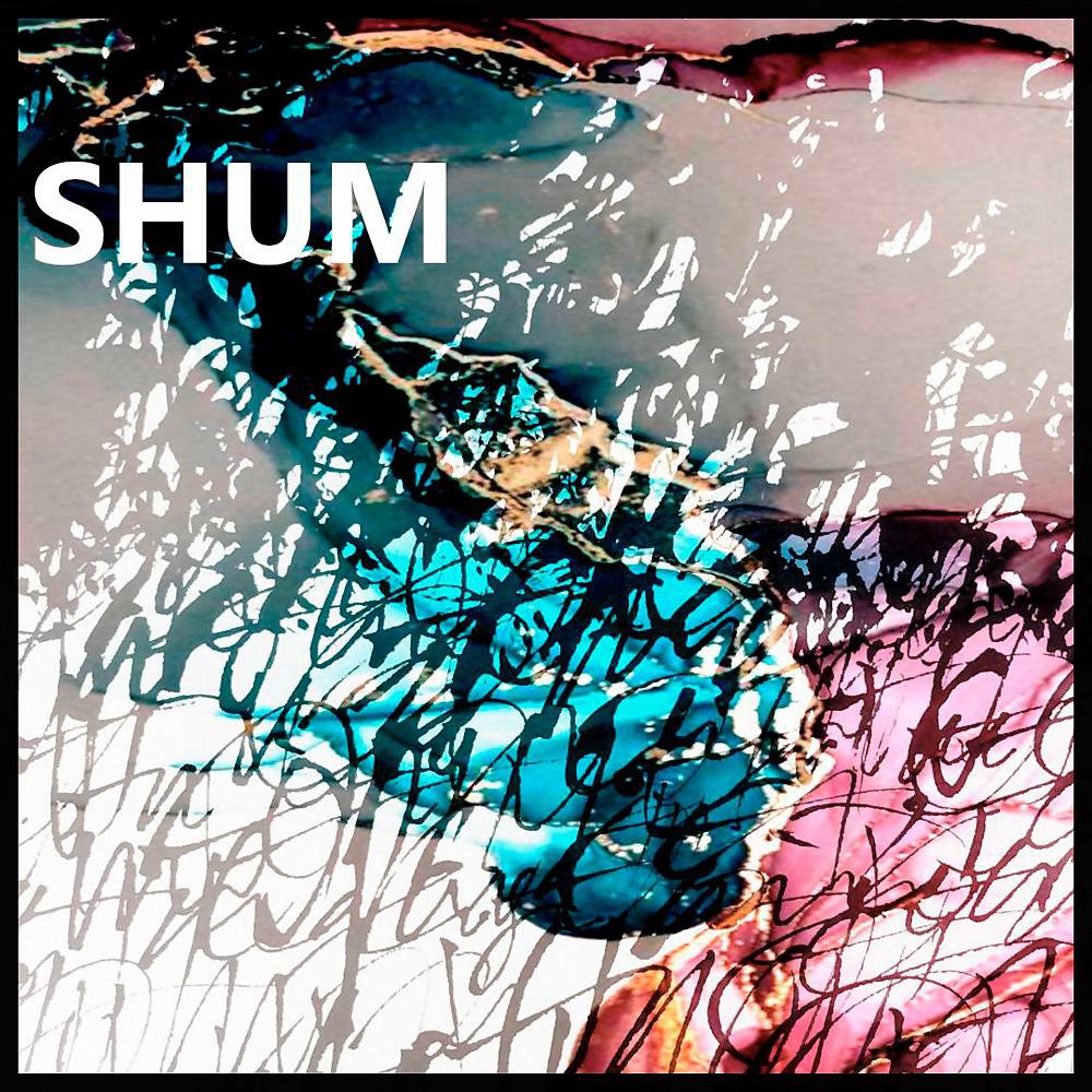 Постер альбома Шум