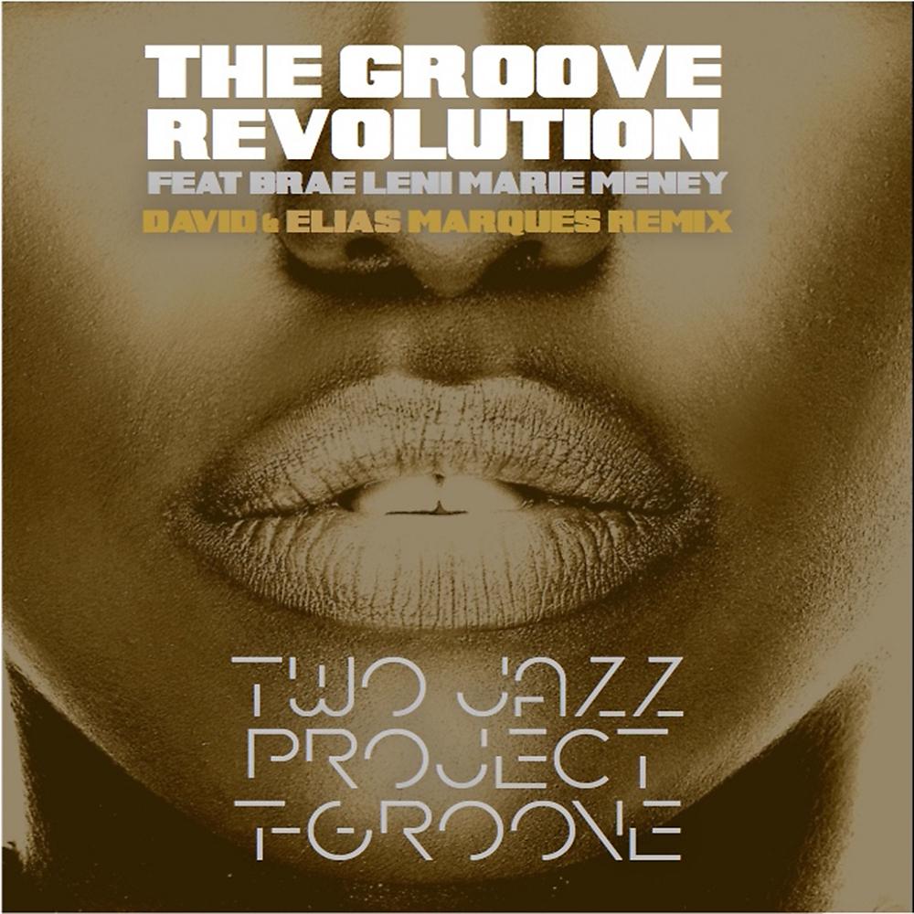 Постер альбома The Groove Revolution (David Marques & Elias Marques Remix)