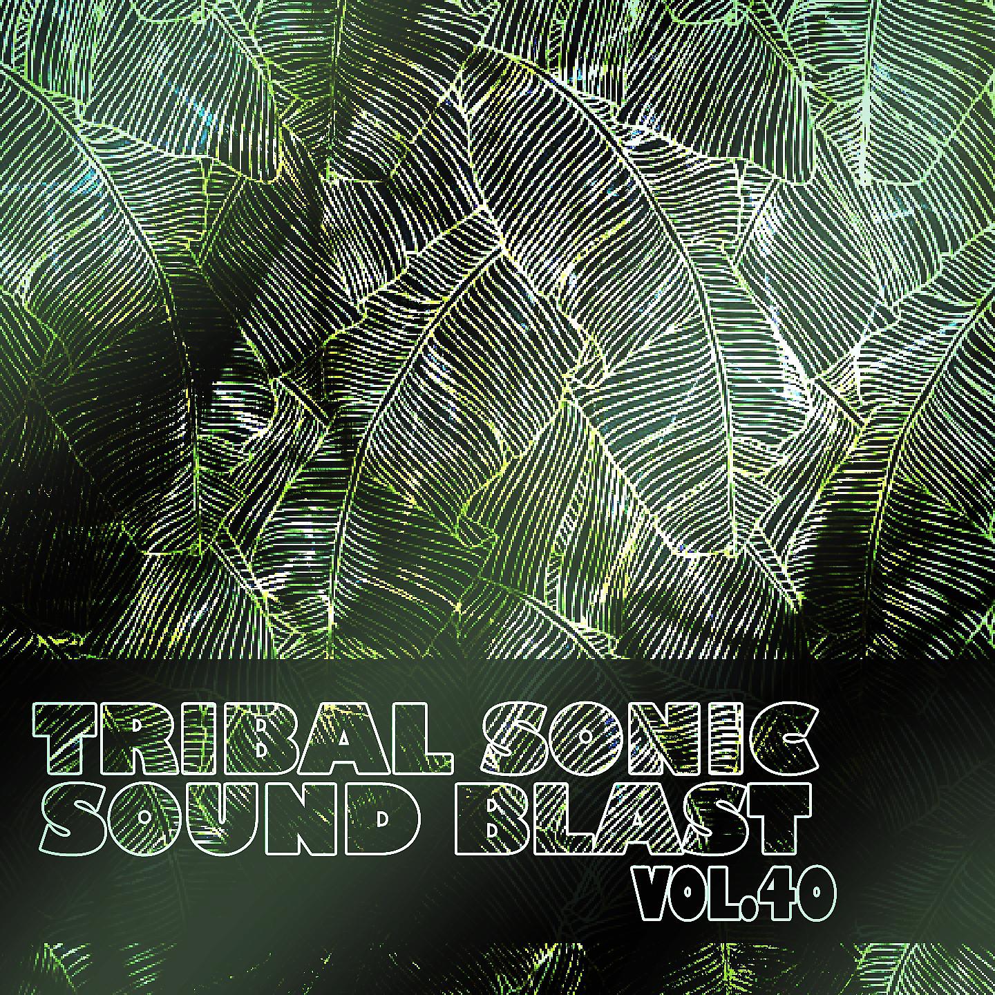 Постер альбома Tribal Sonic Soundblast,Vol.40