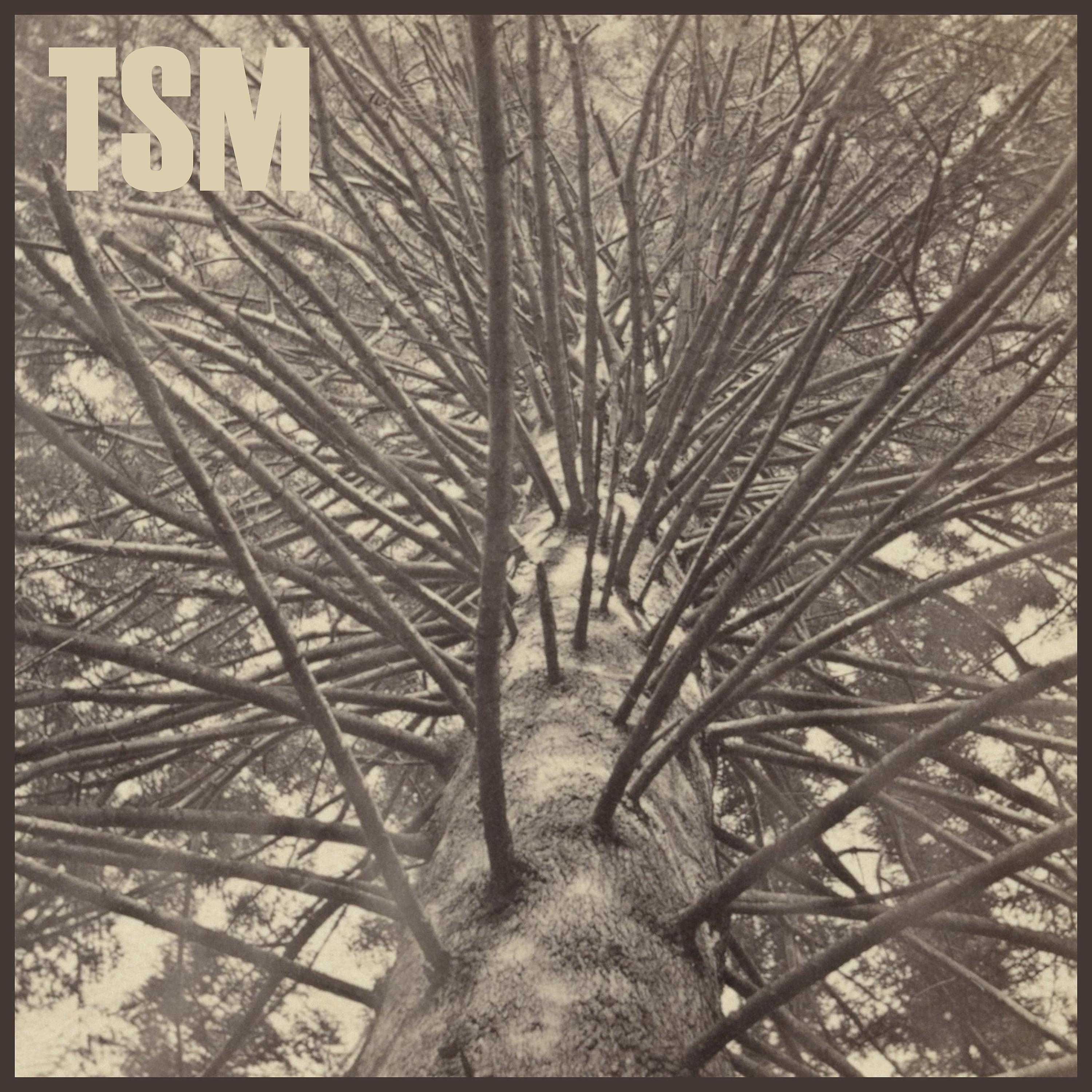 Постер альбома Tsm