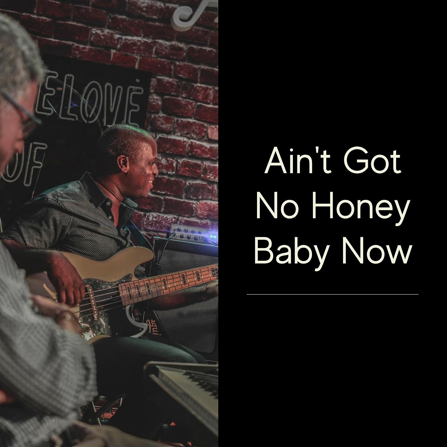 Постер альбома Ain't Got No Honey Baby Now
