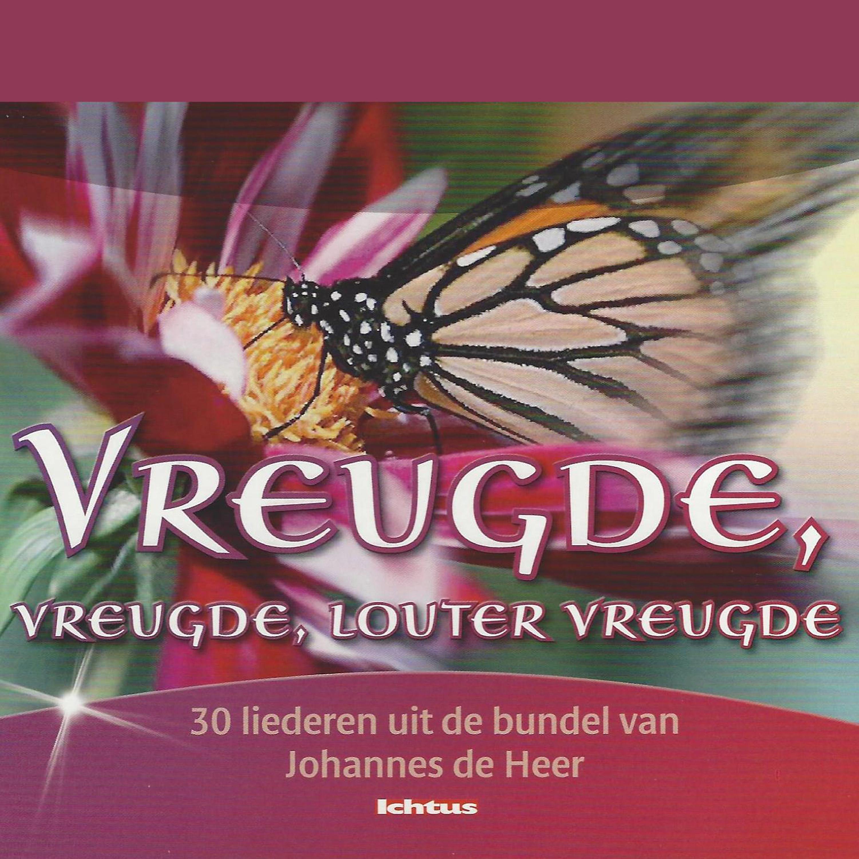 Постер альбома Vreugde, Vreugde, Louter Vreugde: 30 Liederen uit de Bundel van Joh. De Heer