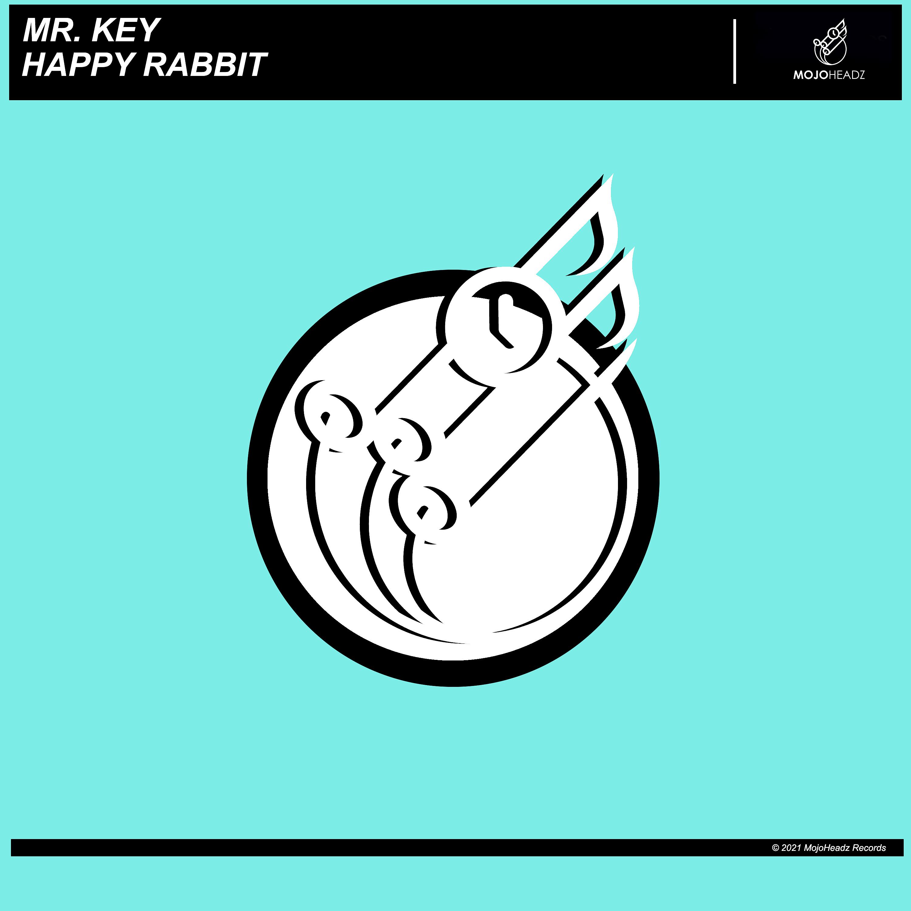 Постер альбома Happy Rabbit