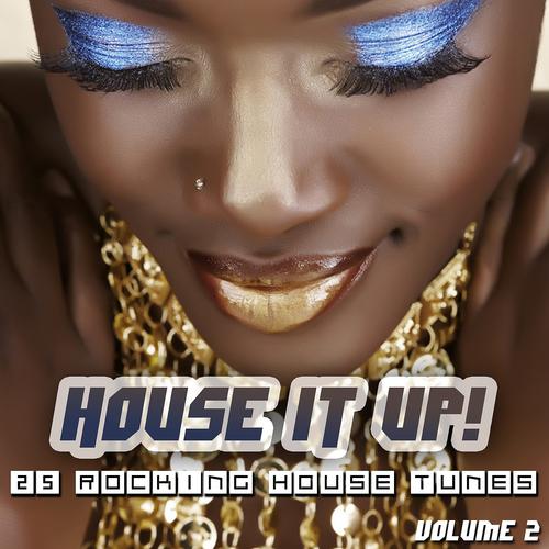 Постер альбома House It Up, Vol. 2