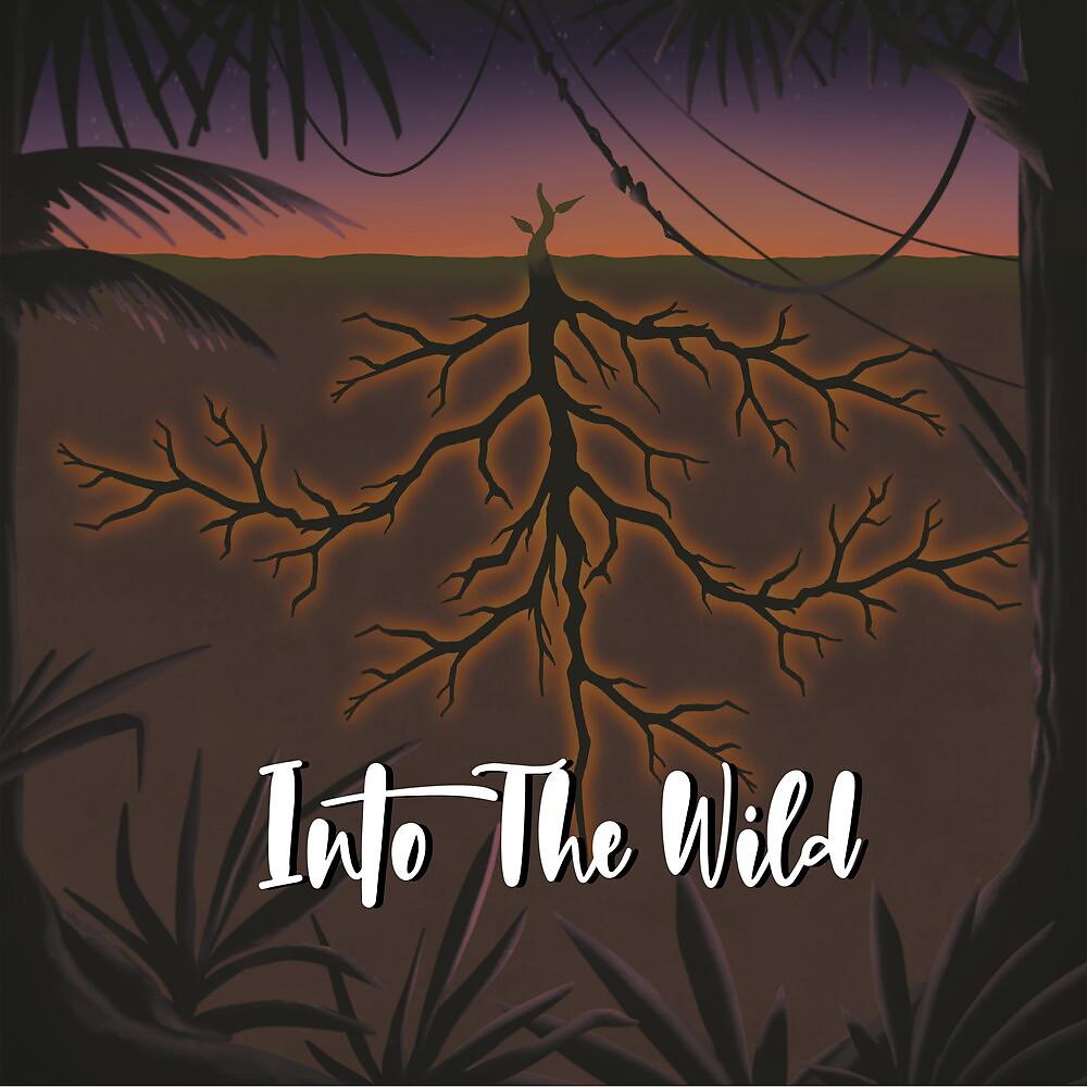 Постер альбома Into the Wild