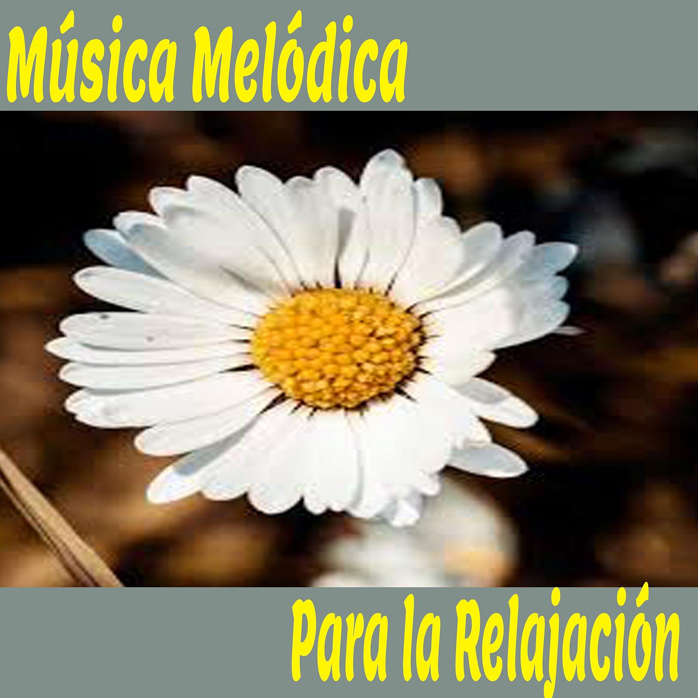 Постер альбома Música Melódica para la Relajación
