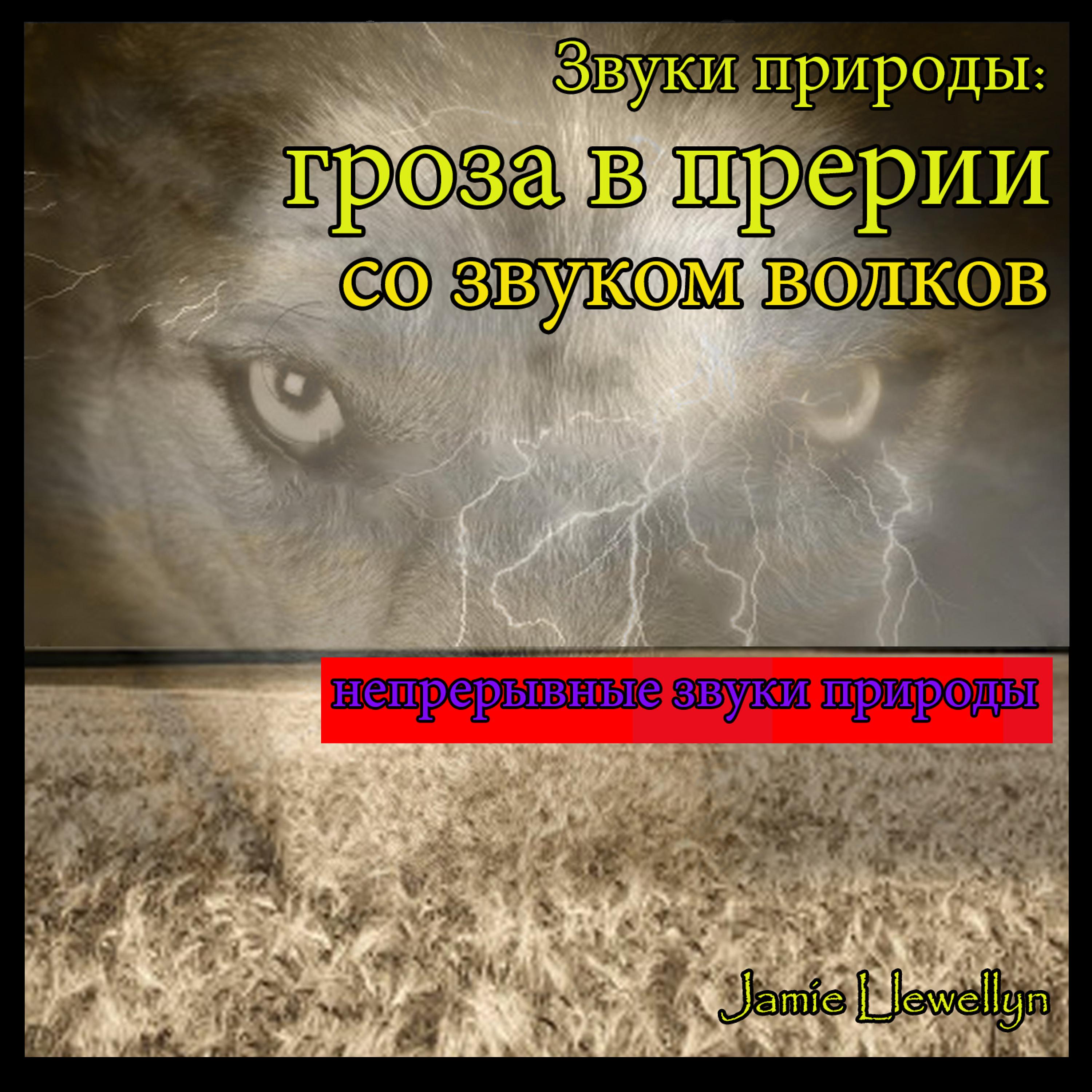 Постер альбома Звуки природы: гроза в прерии со звуком волков