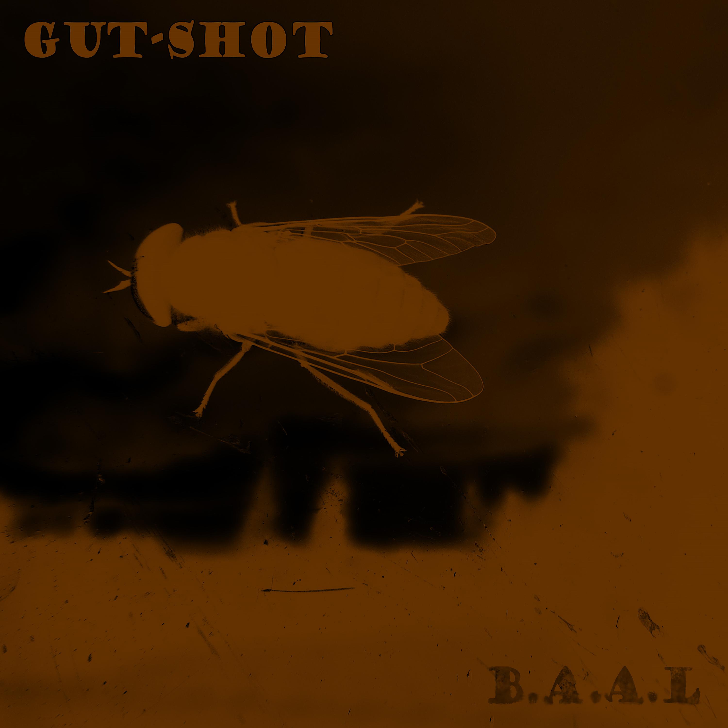 Постер альбома Baal
