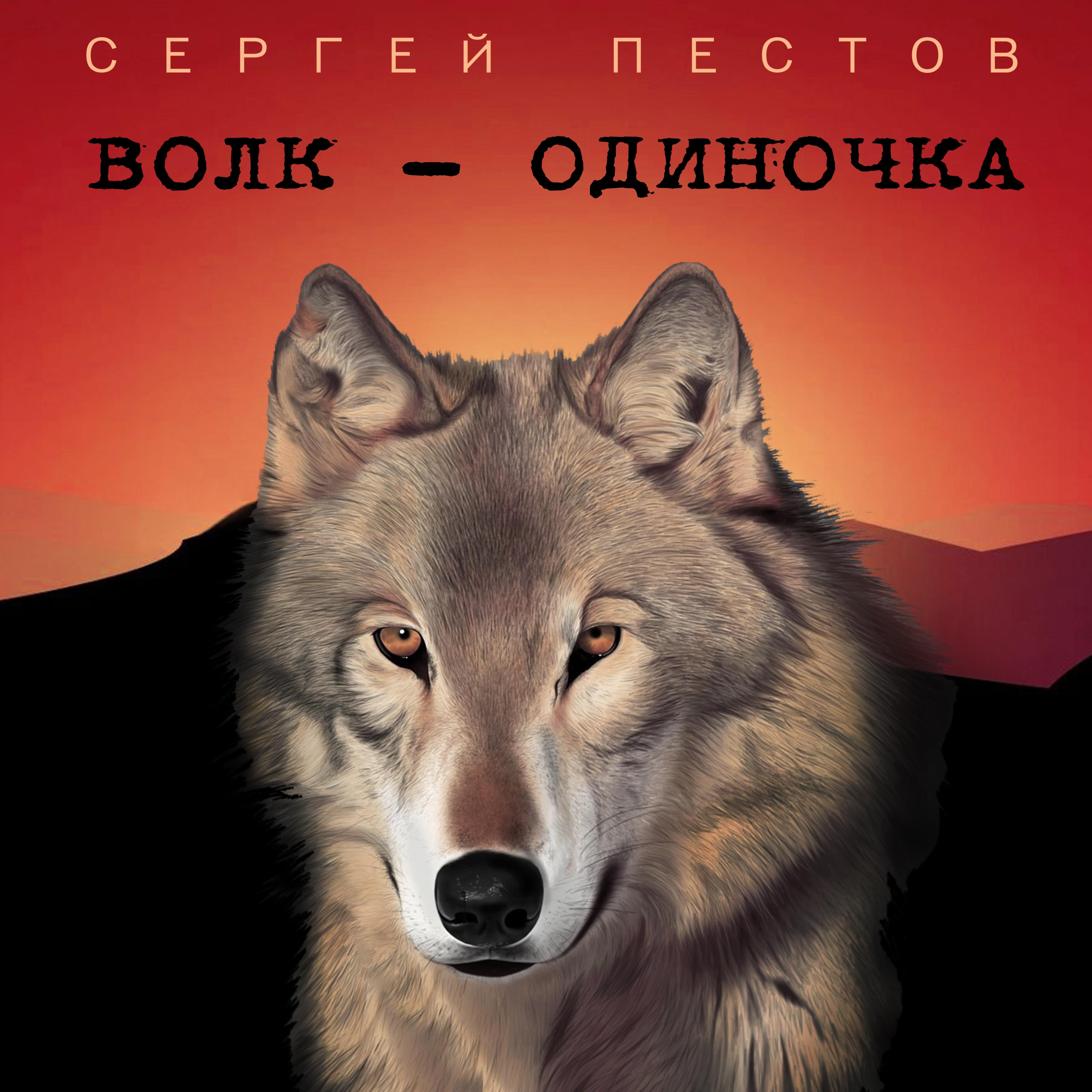 Постер альбома Волк-одиночка