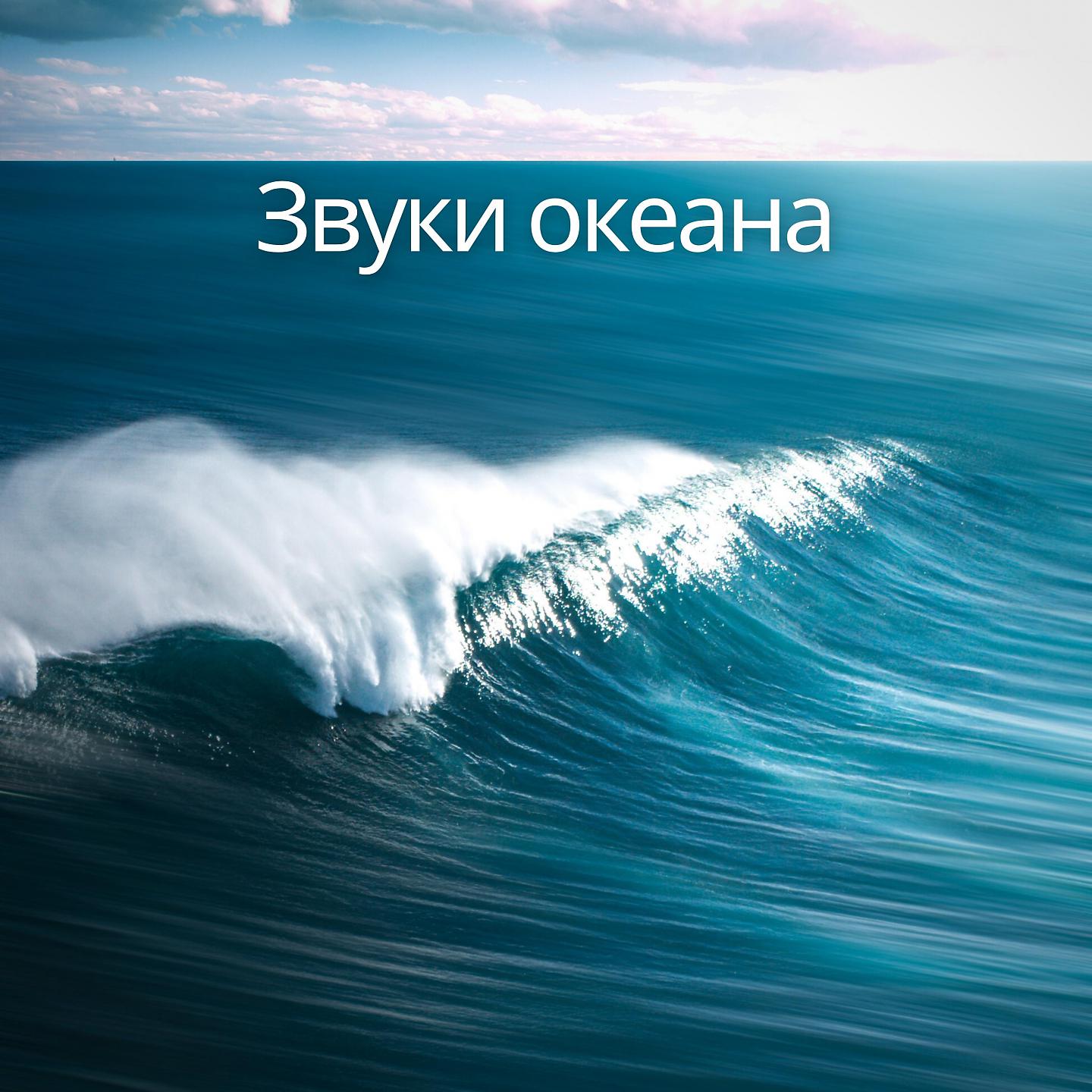 Постер альбома Звуки океана