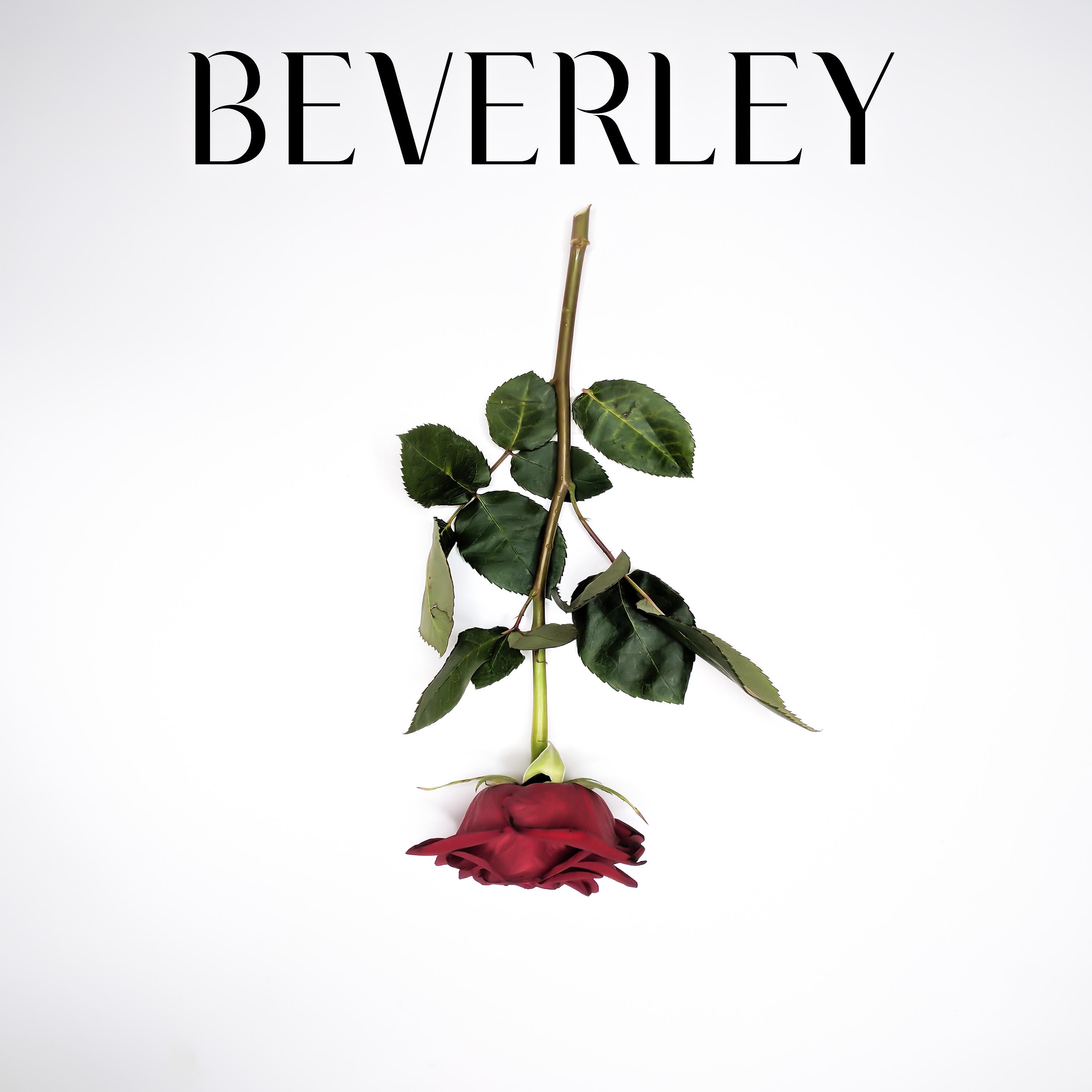 Постер альбома Beverley