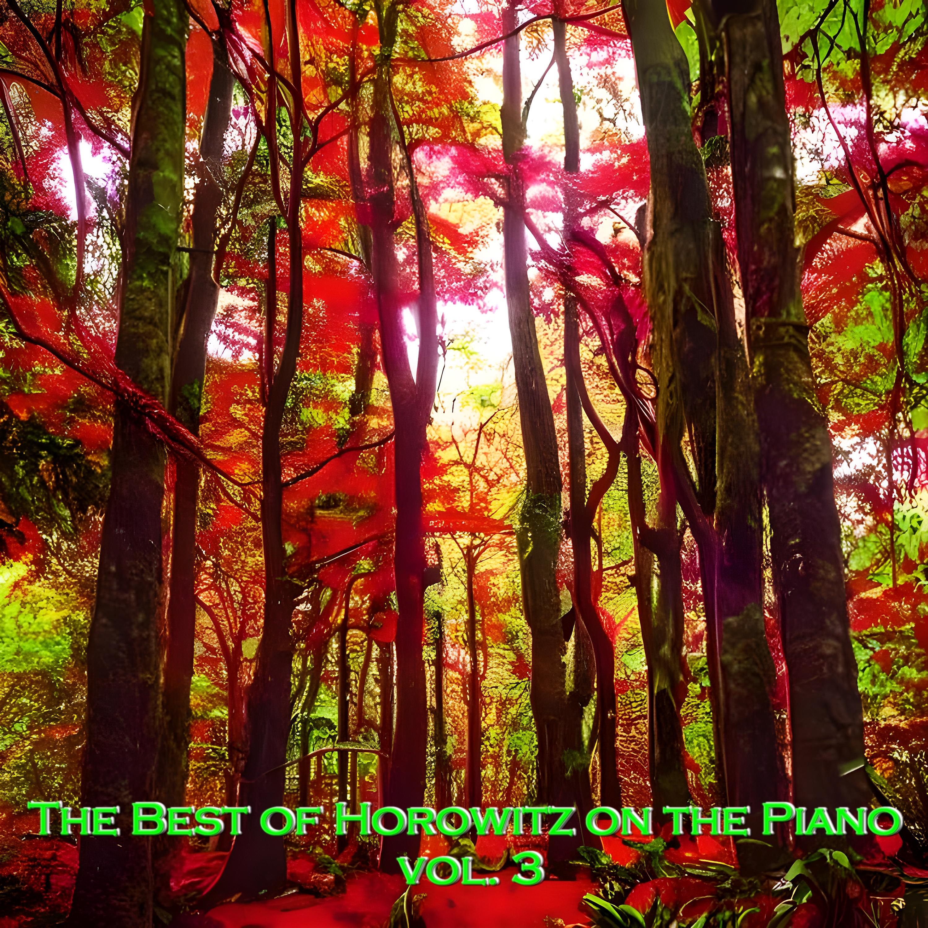 Постер альбома The Best of Horowitz on the Piano, vol. 3