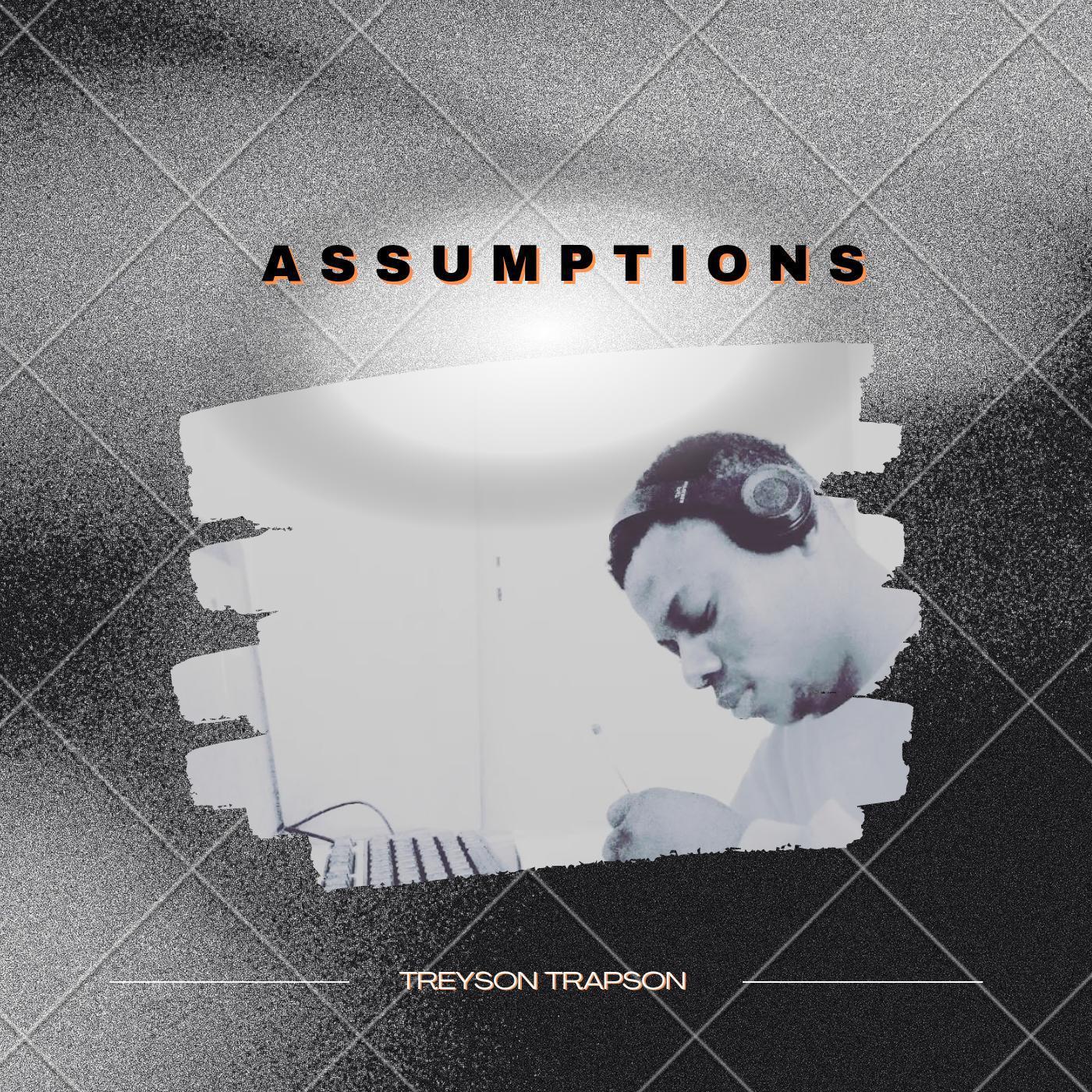Постер альбома Assumptions
