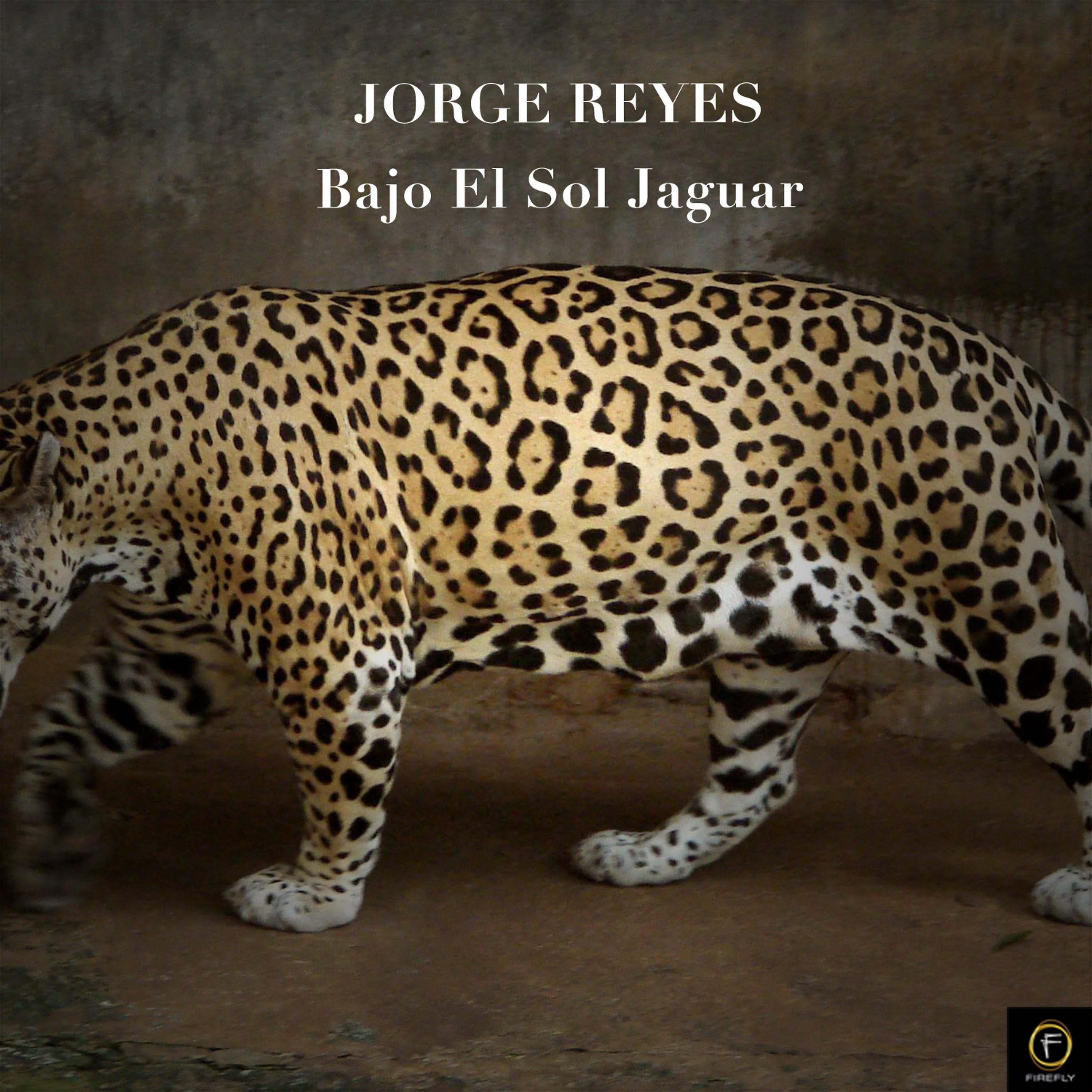 Постер альбома Jorge Reyes, Bajo el Sol Jaguar