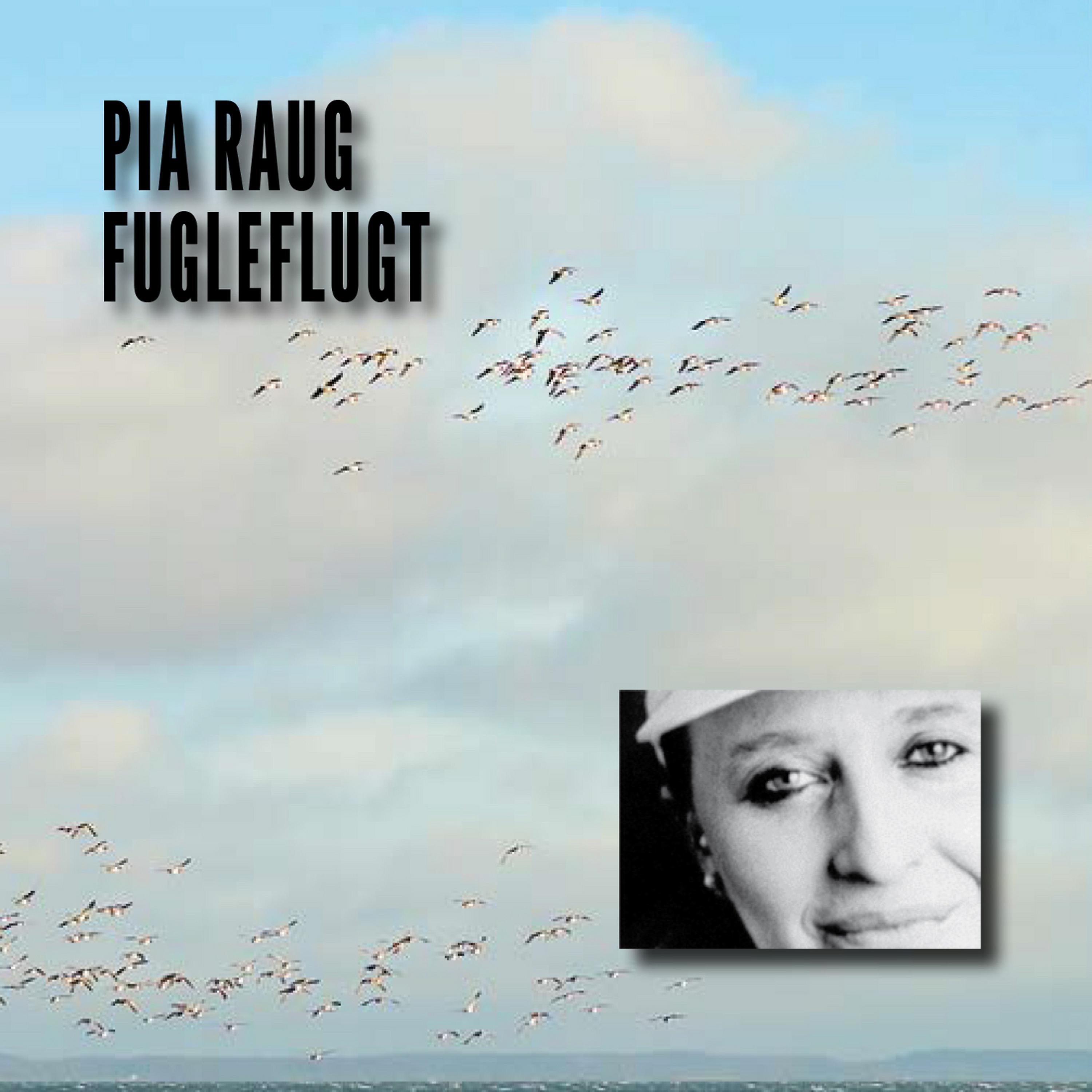 Постер альбома Fugleflugt