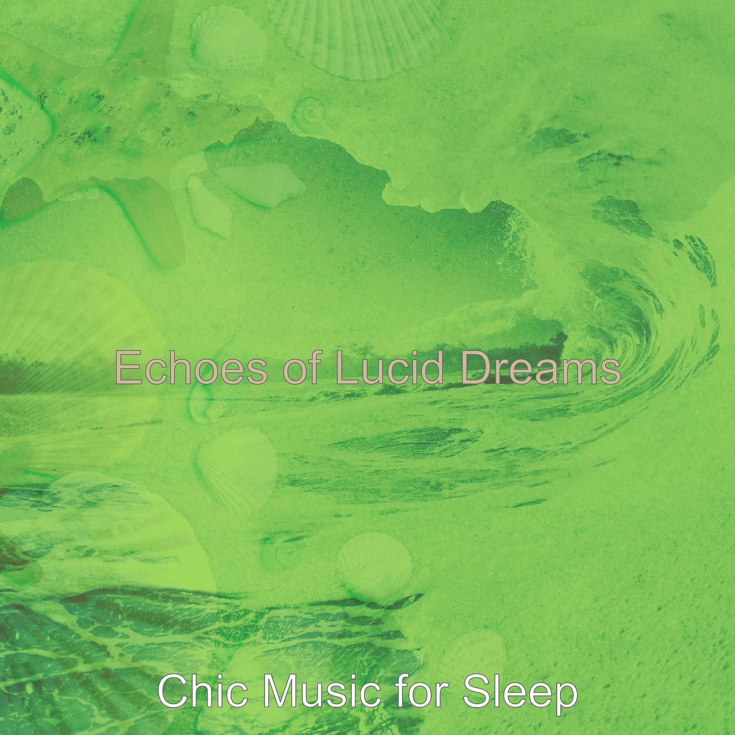Постер альбома Echoes of Lucid Dreams