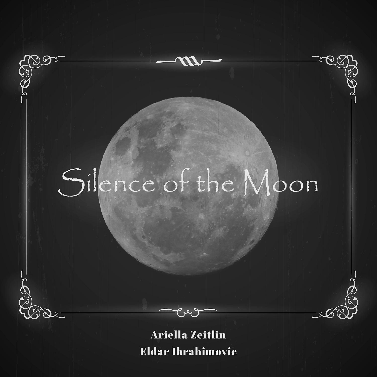 Постер альбома Silence of the Moon