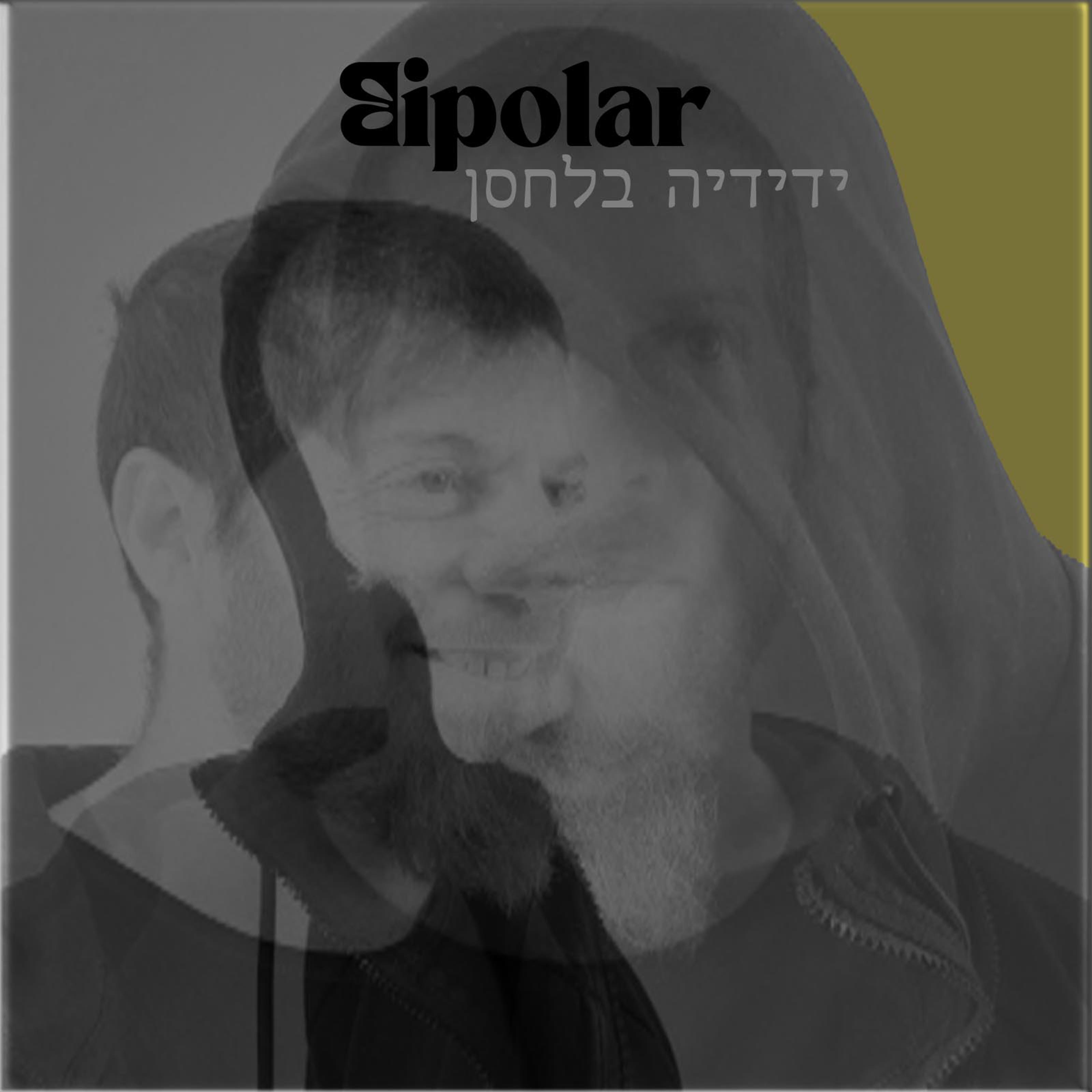 Постер альбома bipolar