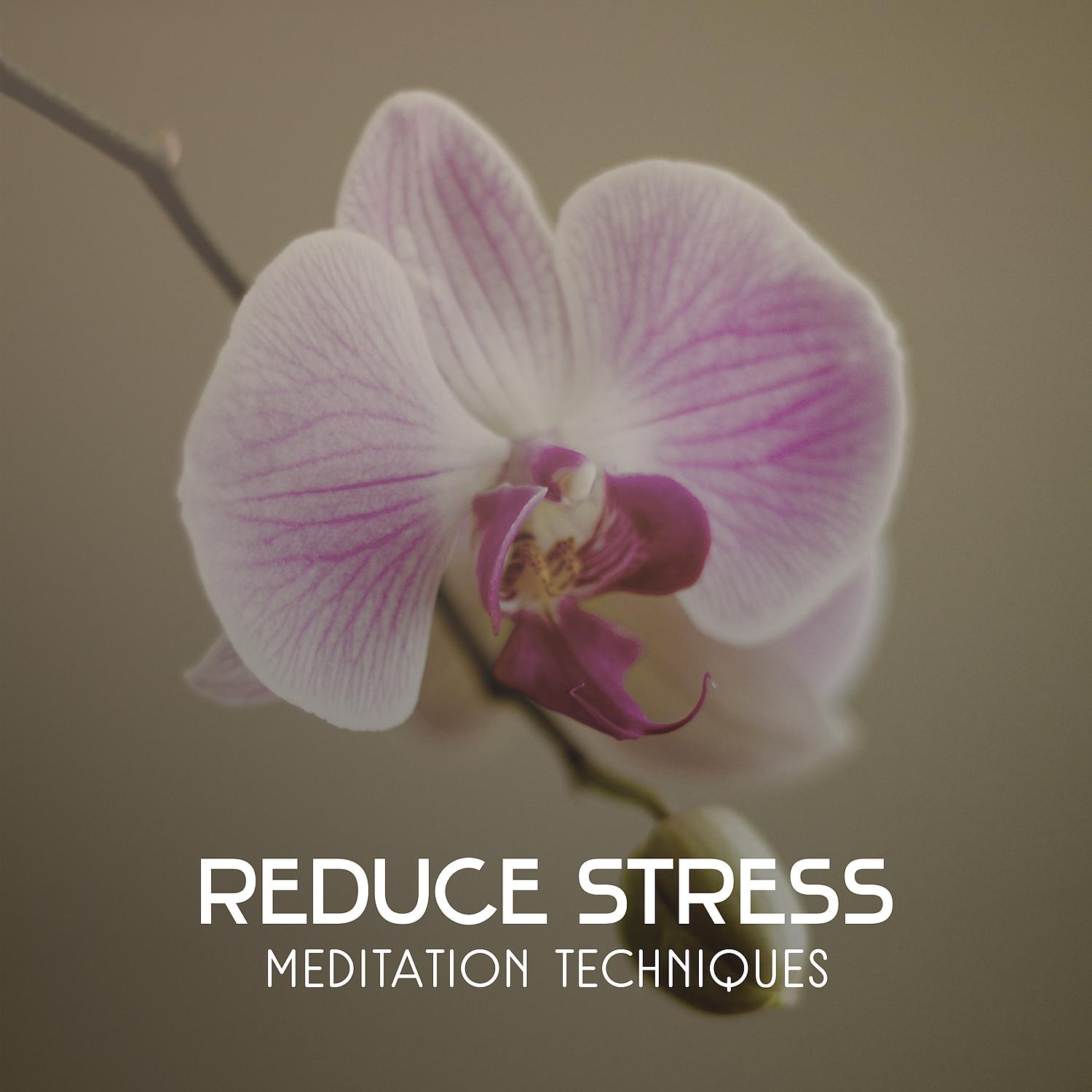 Постер альбома Reduce Stress – Meditation Techniques, Healing Music to Improve Your Mood, Clear Relaxation Sounds