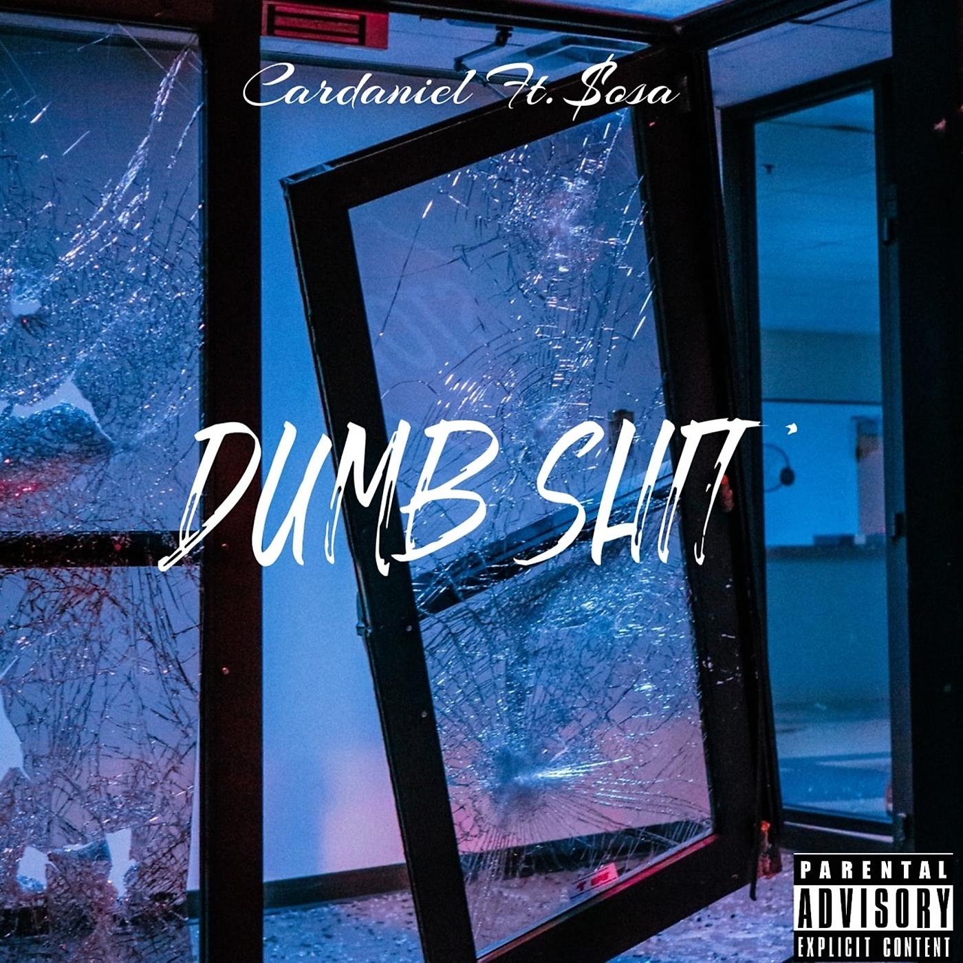 Постер альбома Dumb Shit