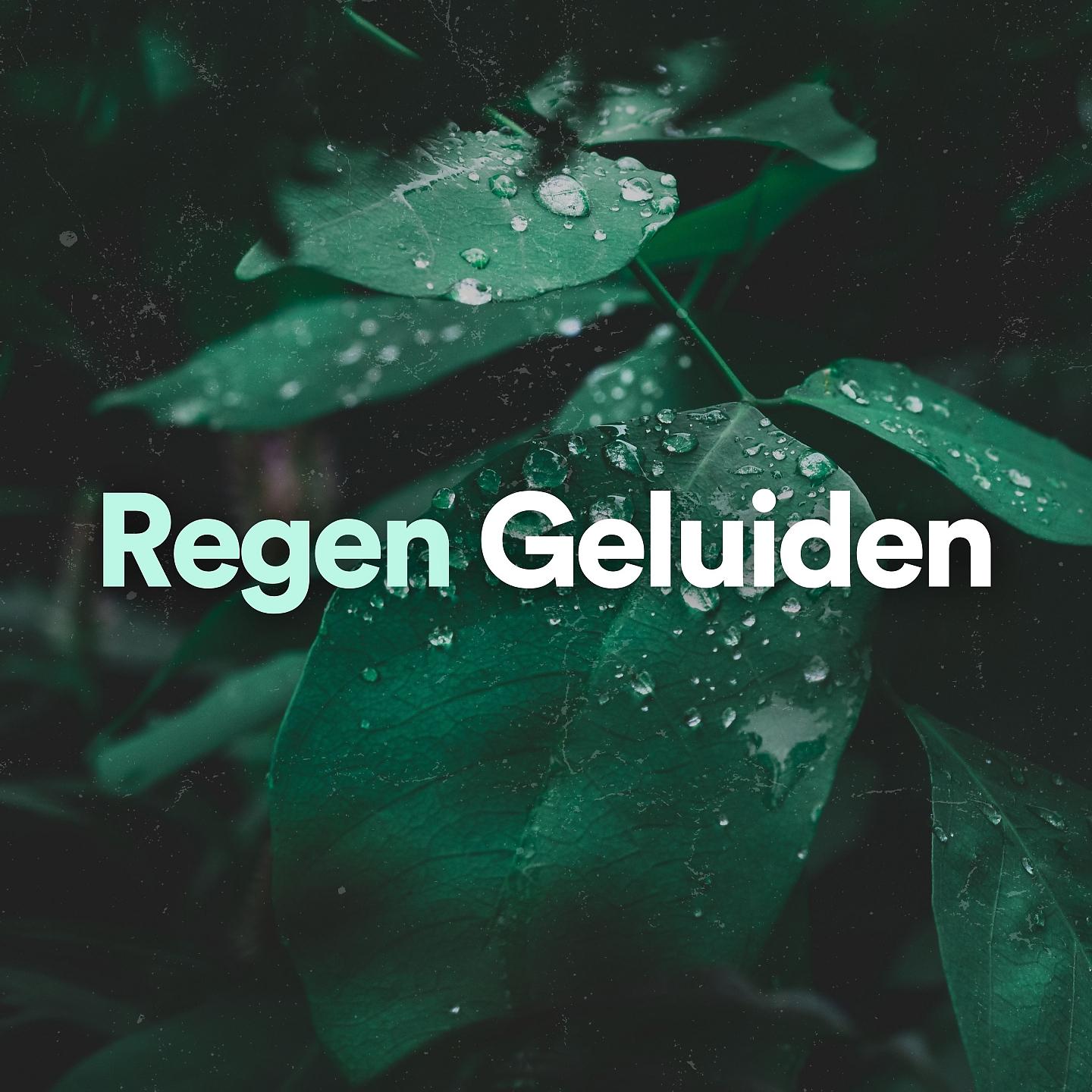 Постер альбома Regen Geluiden