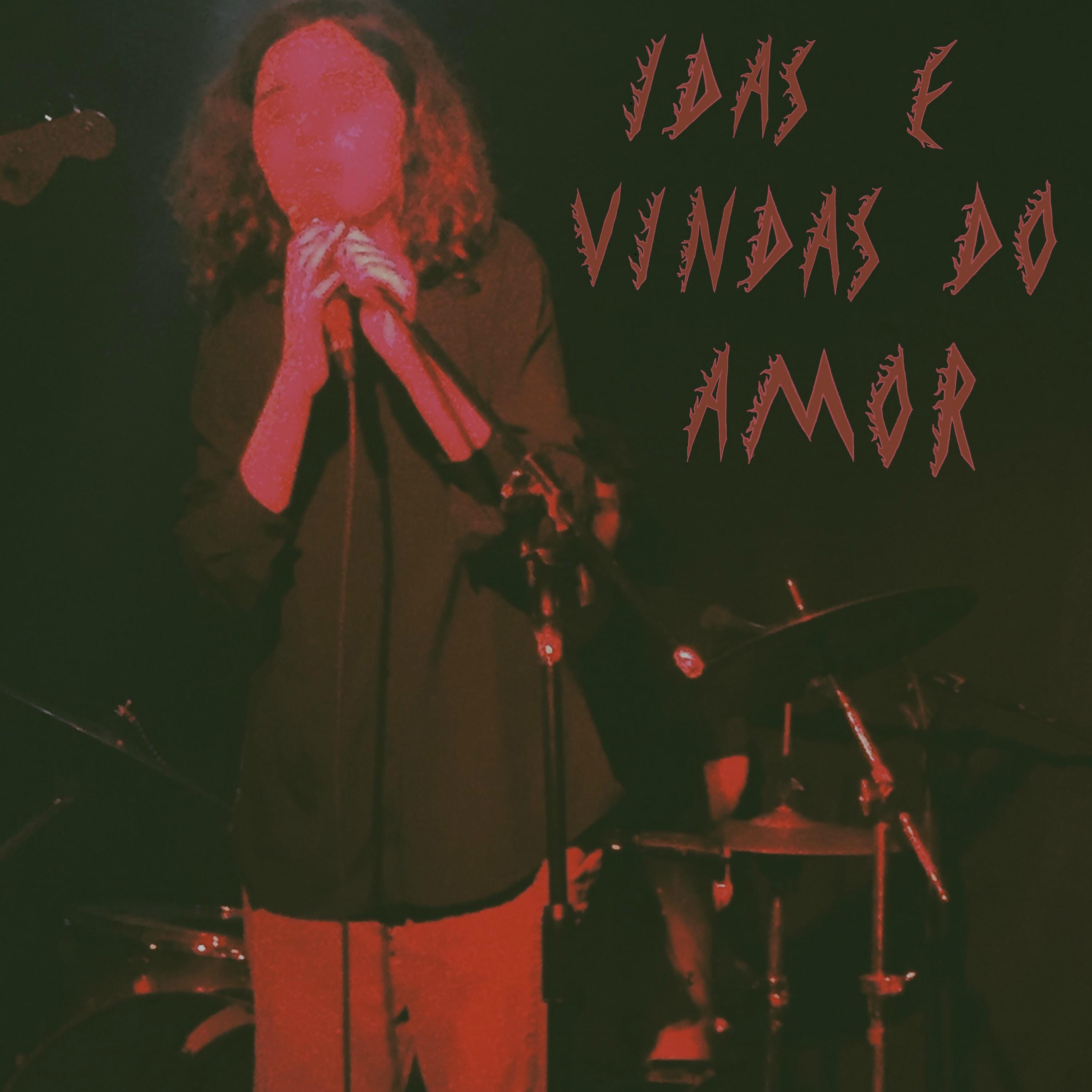 Постер альбома Idas e Vindas do Amor