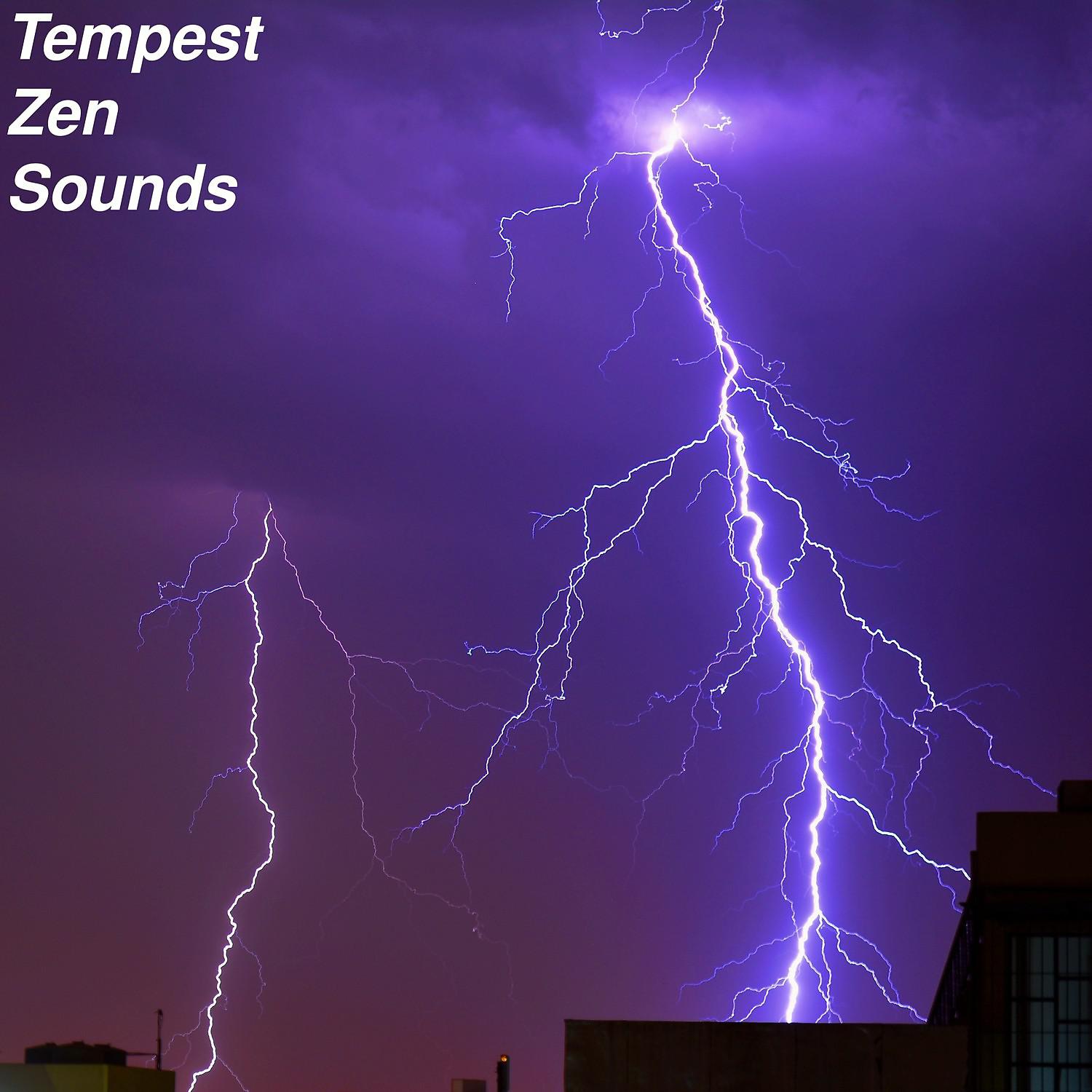 Постер альбома Tempest Zen Sounds