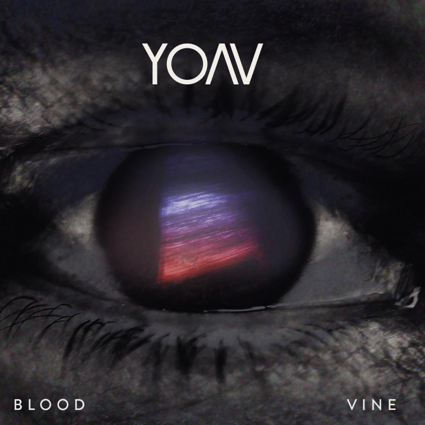 Постер альбома Blood Vine