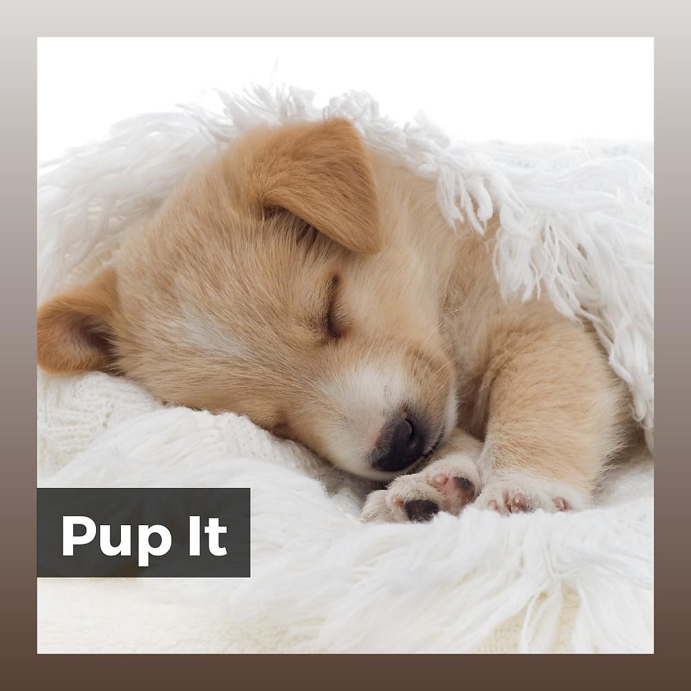 Постер альбома Pup It