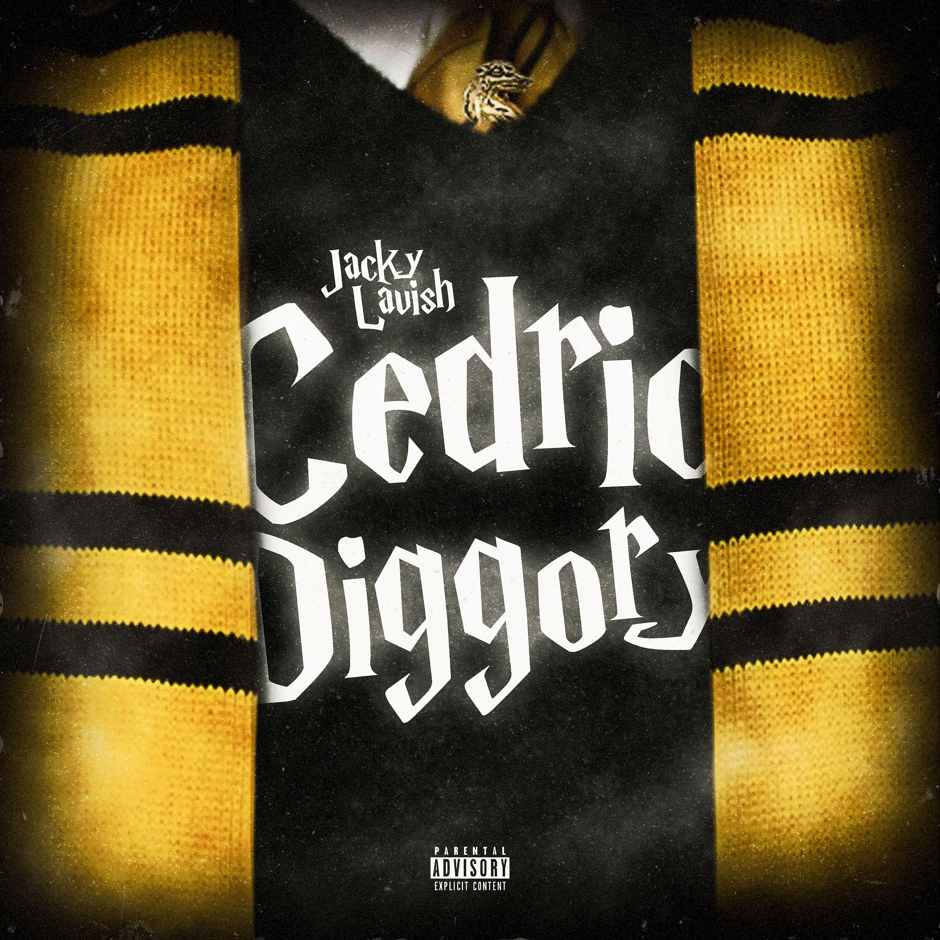 Постер альбома Cedric Diggory
