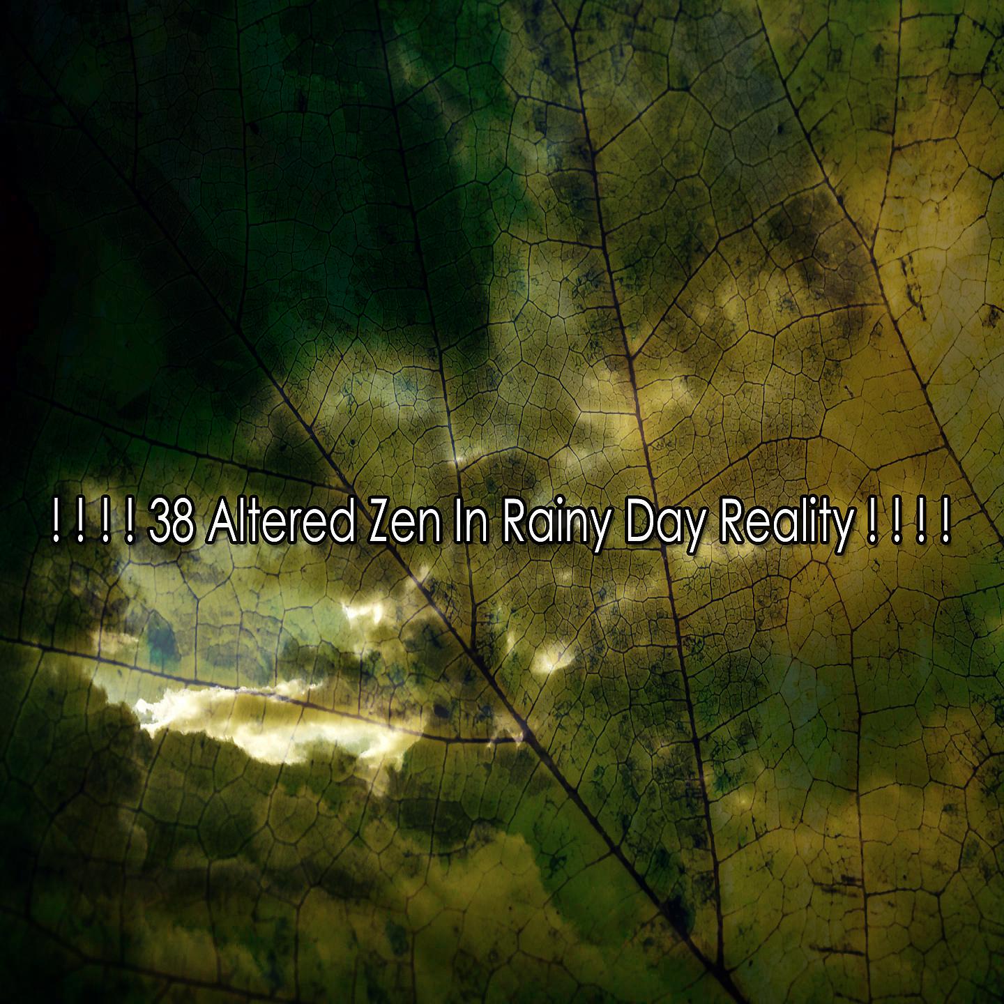Постер альбома ! ! ! ! 38 Измененный дзен в реальности дождливого дня! ! ! !
