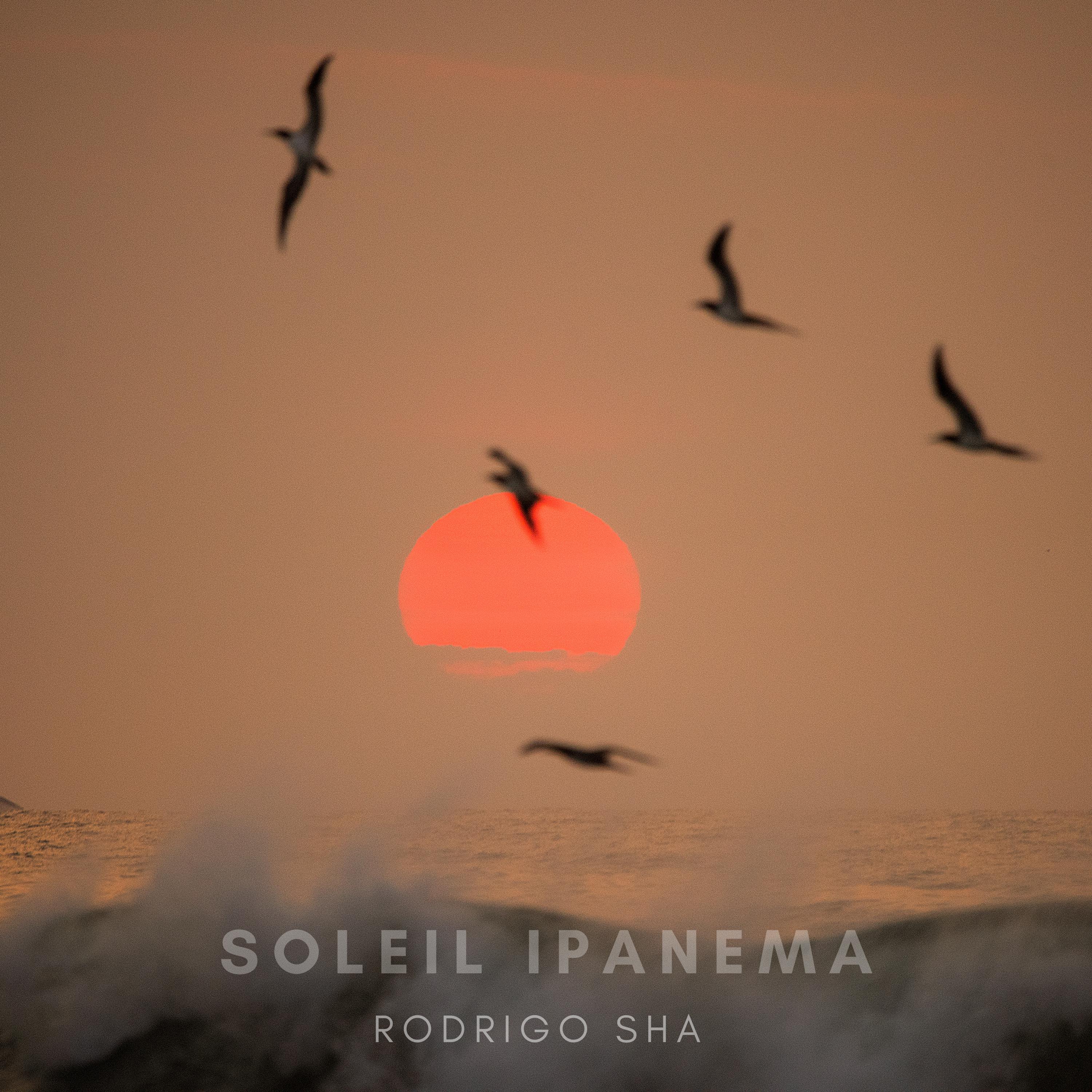 Постер альбома Soleil Ipanema