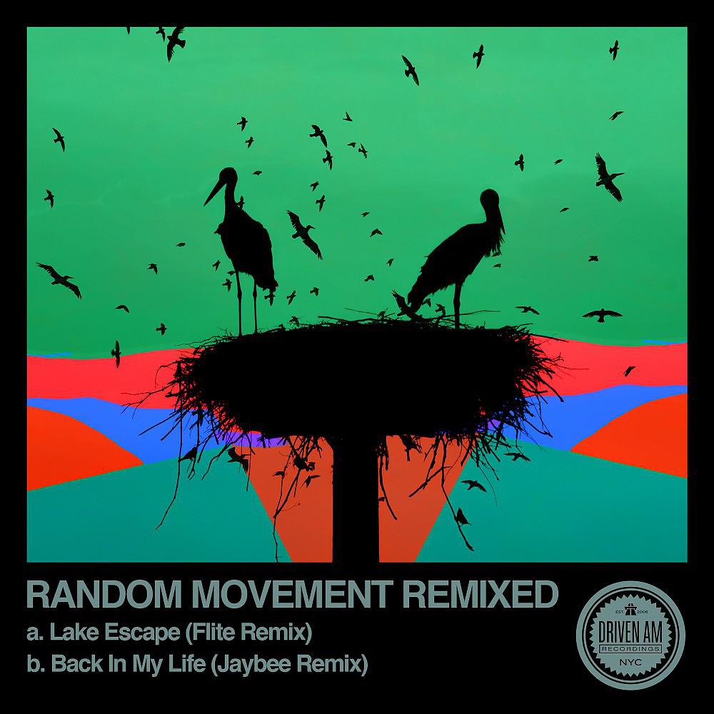 Постер альбома Random Movement Remixed