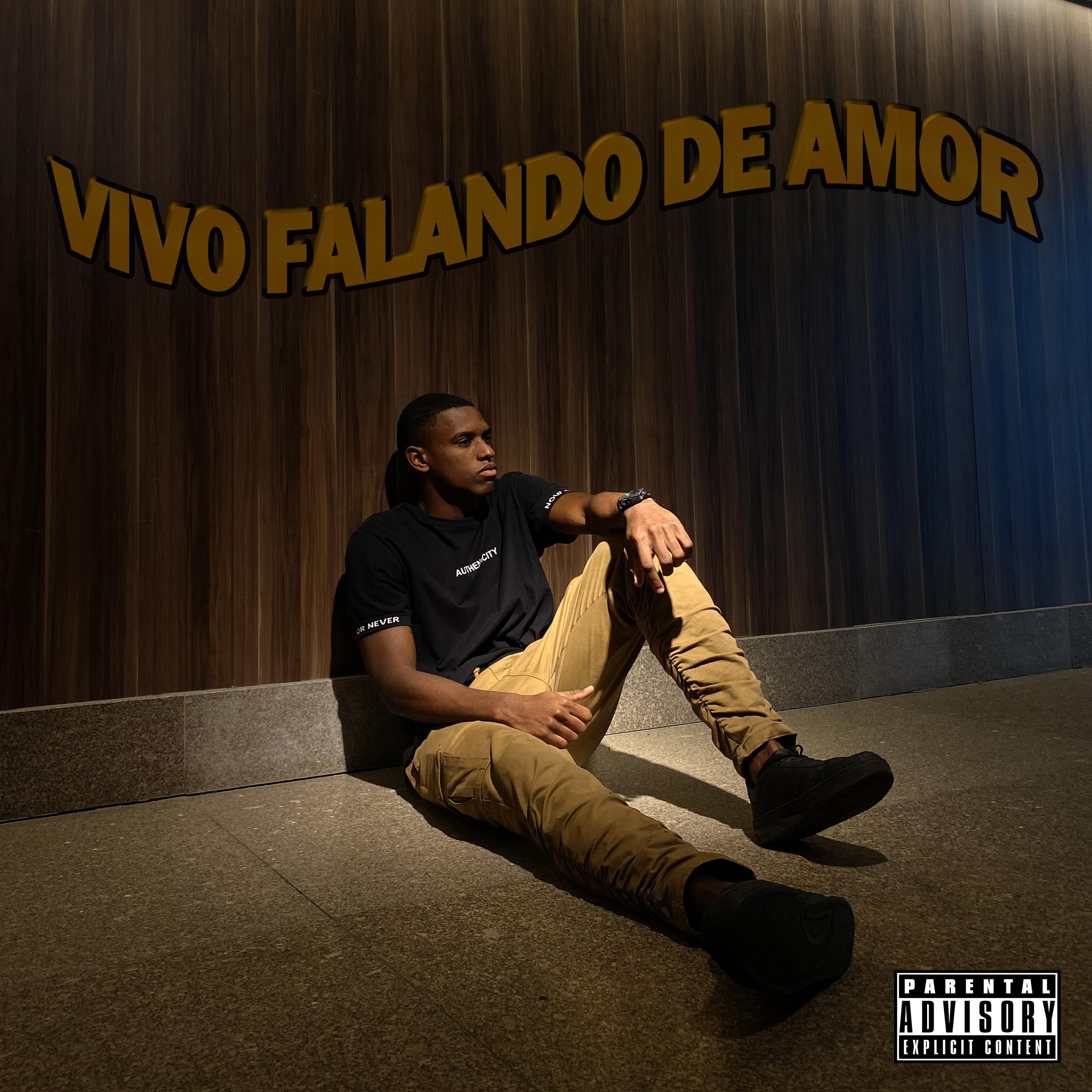 Постер альбома Vivo Falando de Amor