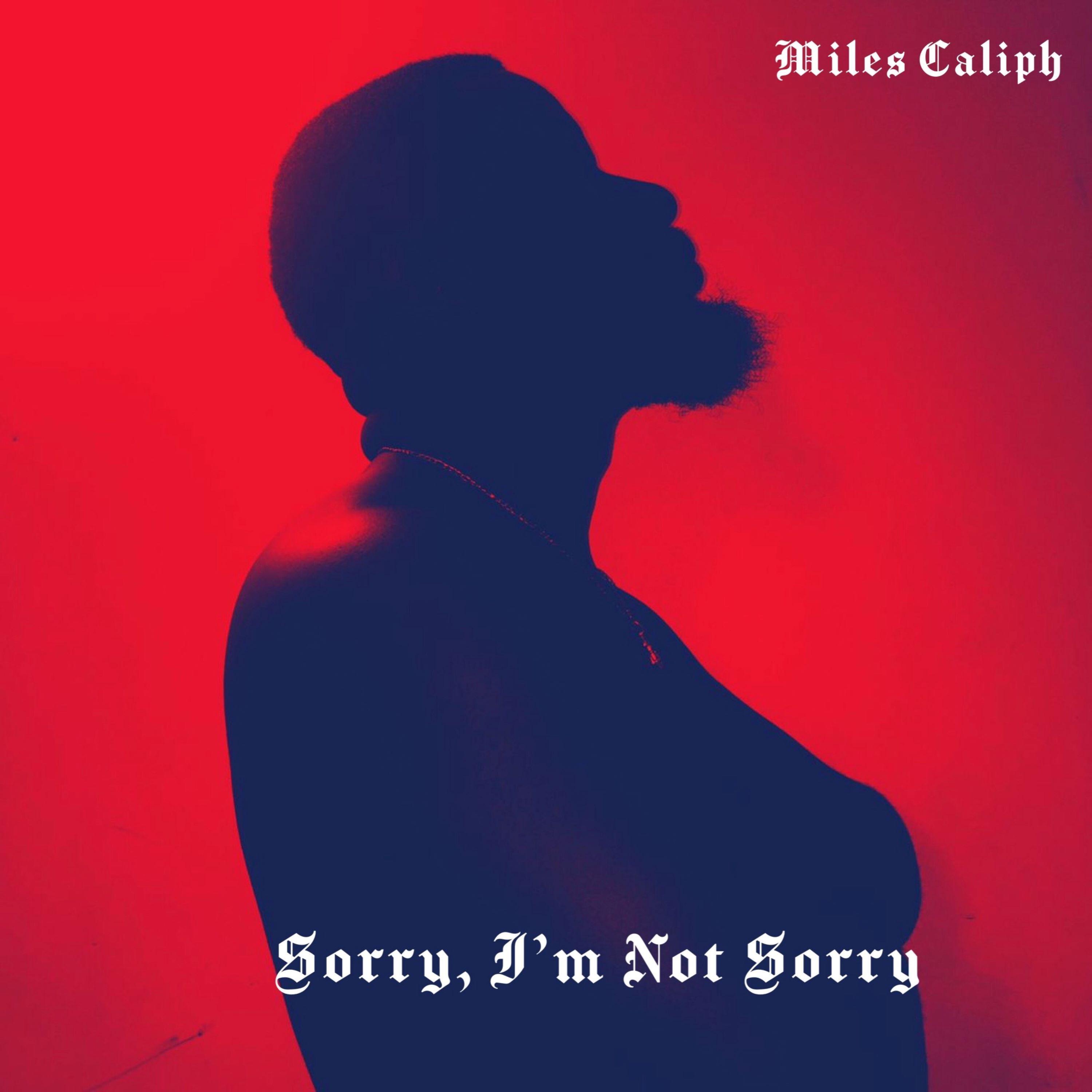 Постер альбома Sorry, I'm Not Sorry