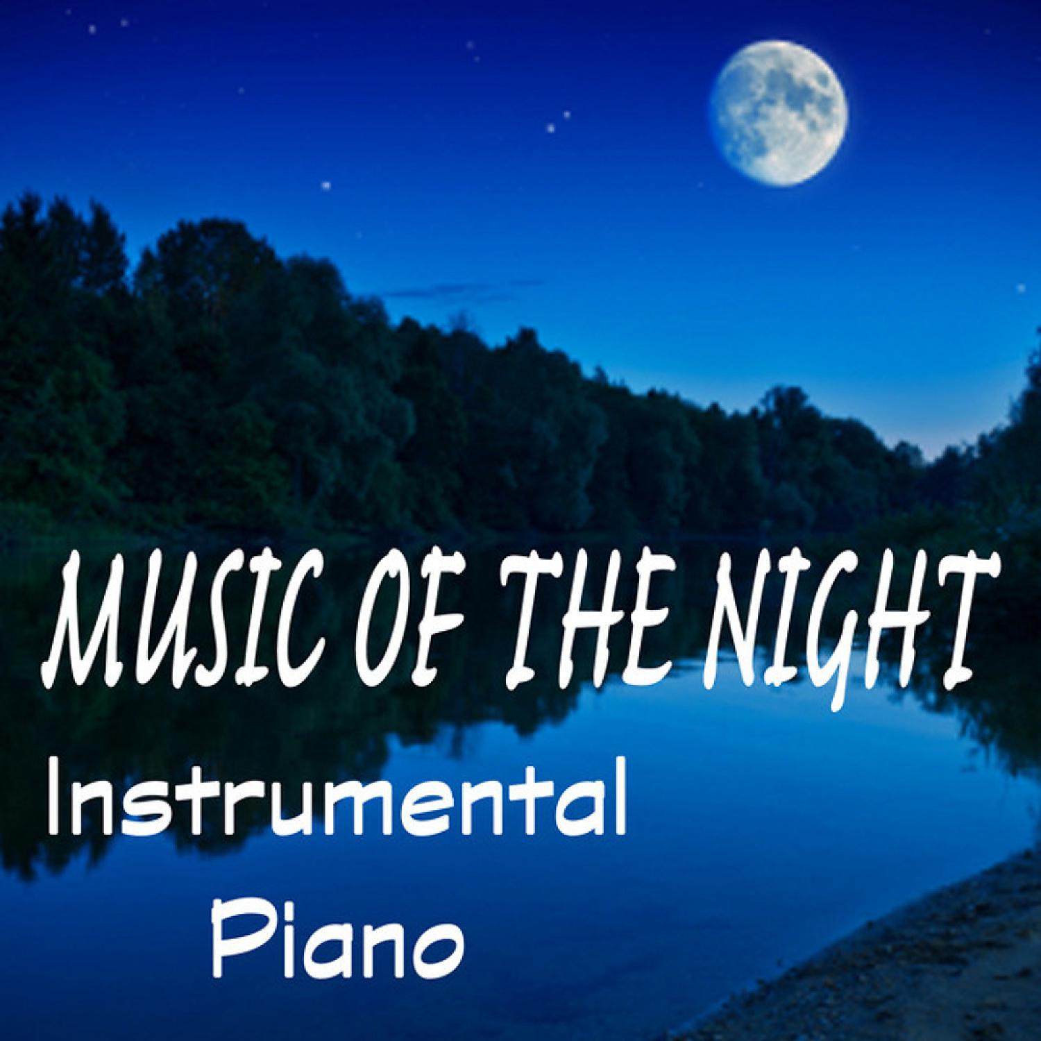Постер альбома Music of the Night: Instrumental Piano