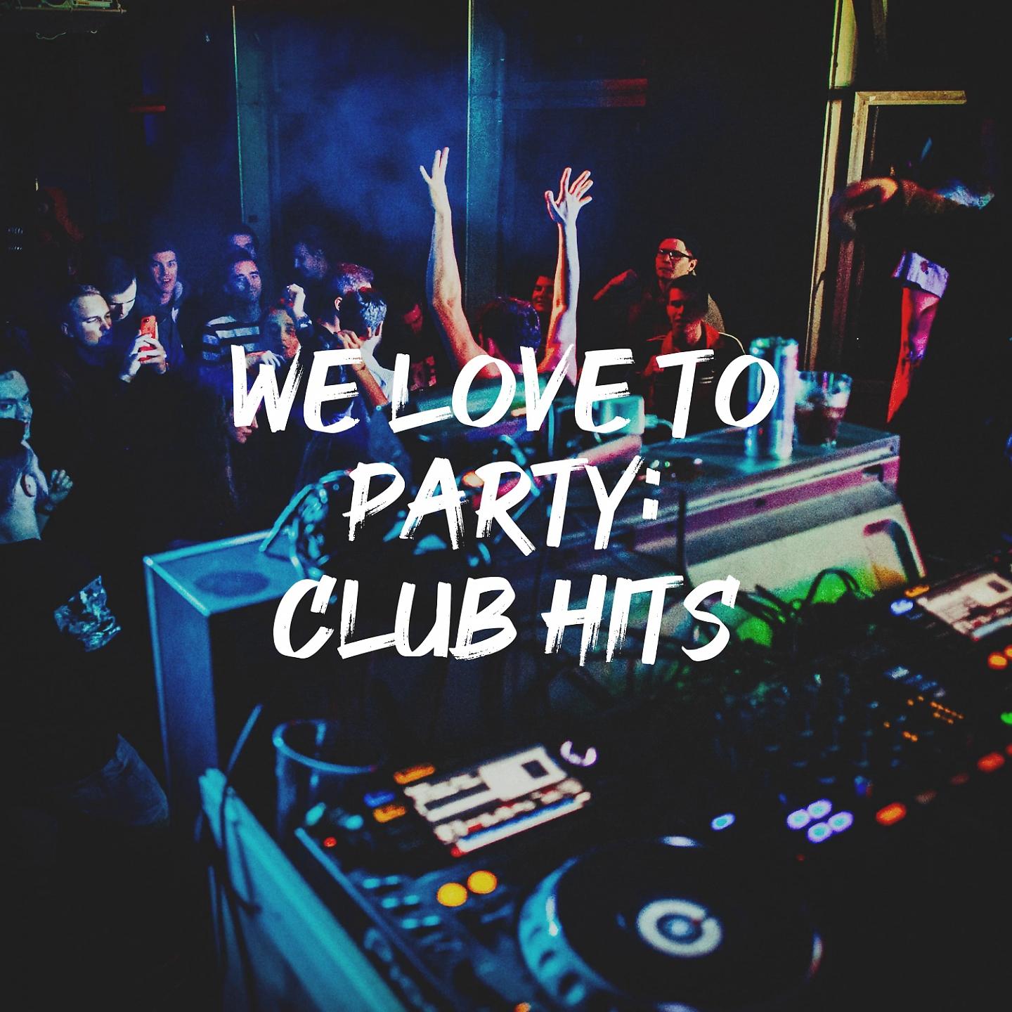 Постер альбома We Love to Party: Club Hits
