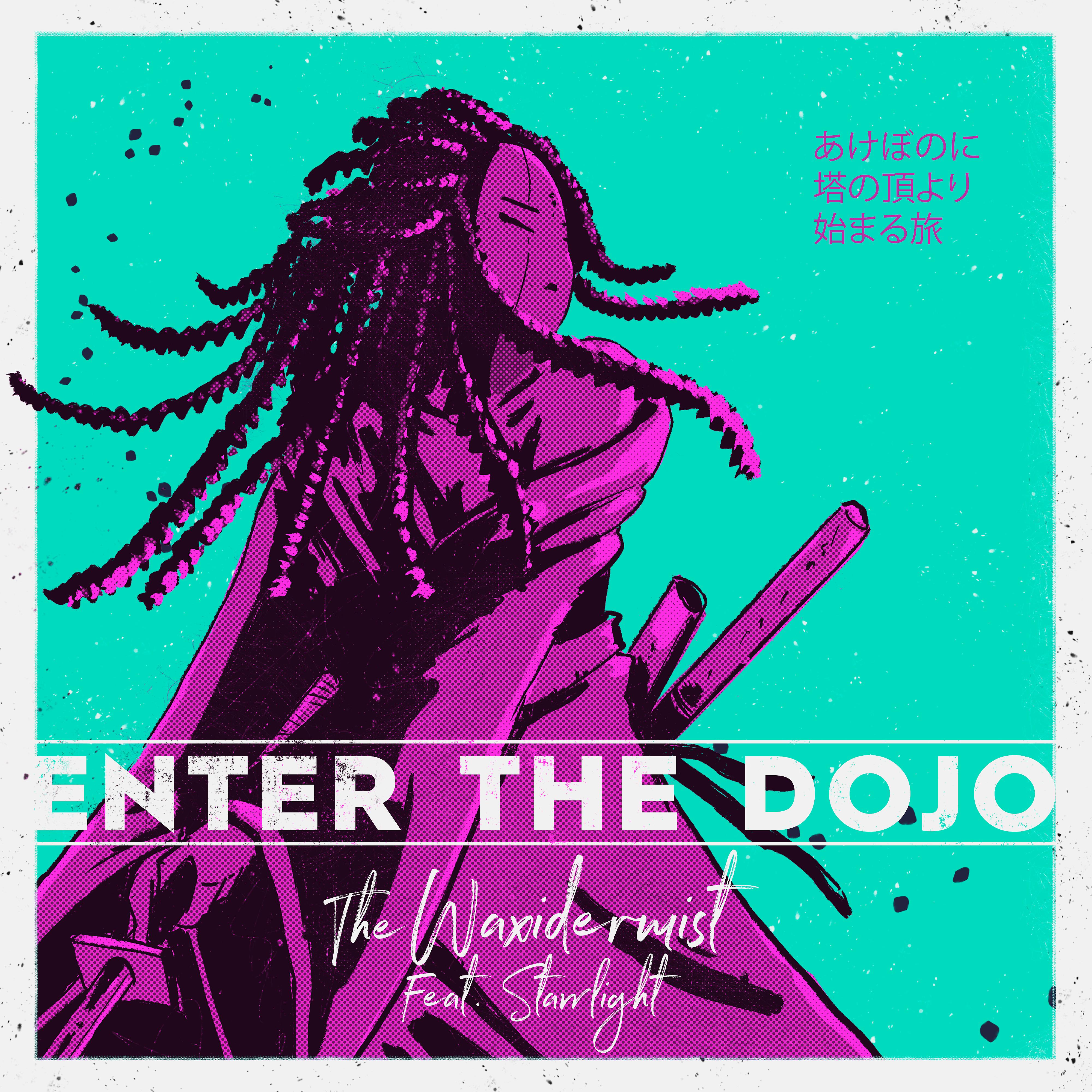 Постер альбома Enter the Dojo