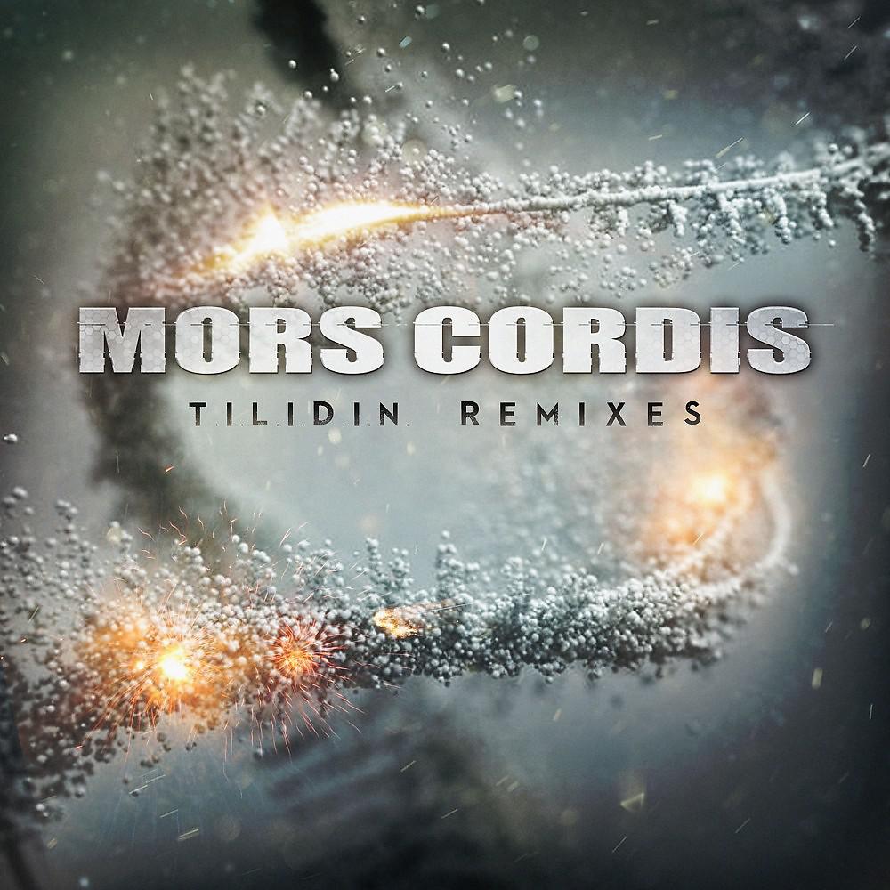 Постер альбома T.I.L.I.D.I.N. Remixes