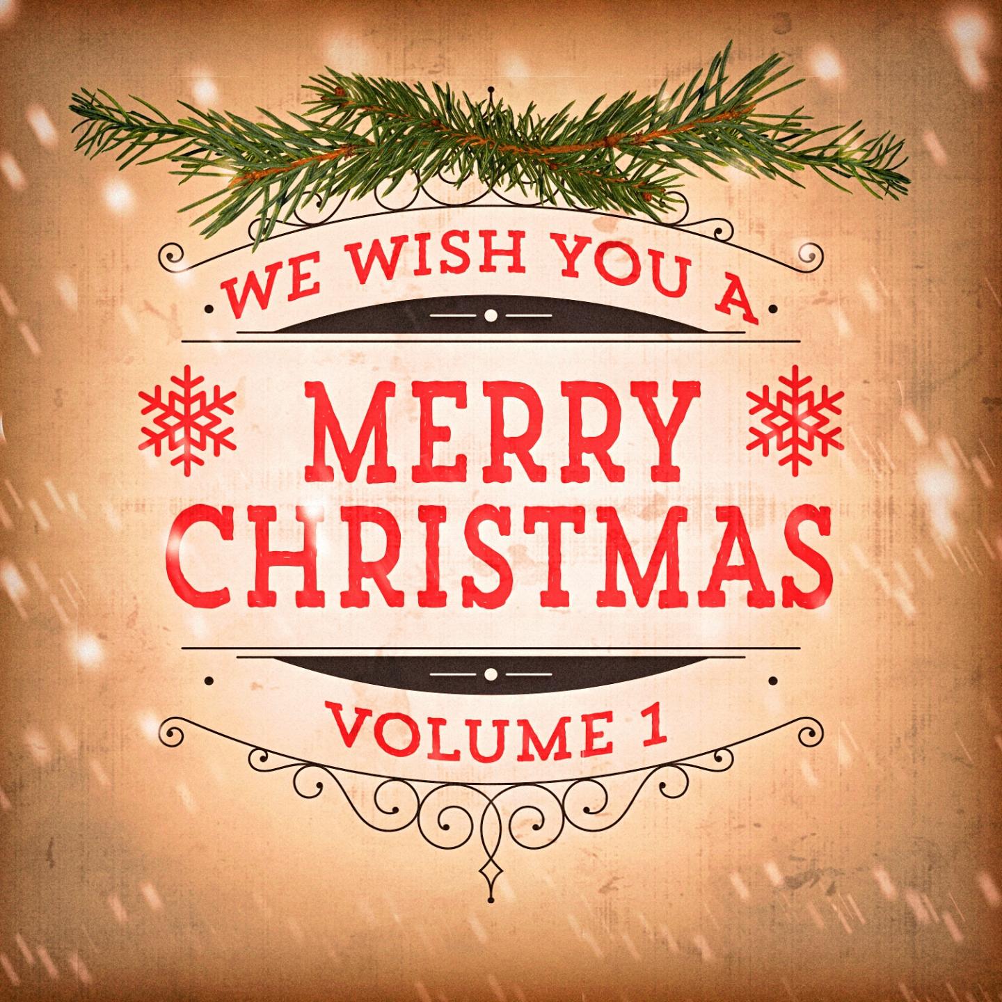 Постер альбома We Wish You a Merry Christmas, Vol. 1 (20 Classic Christmas Songs and Hits)