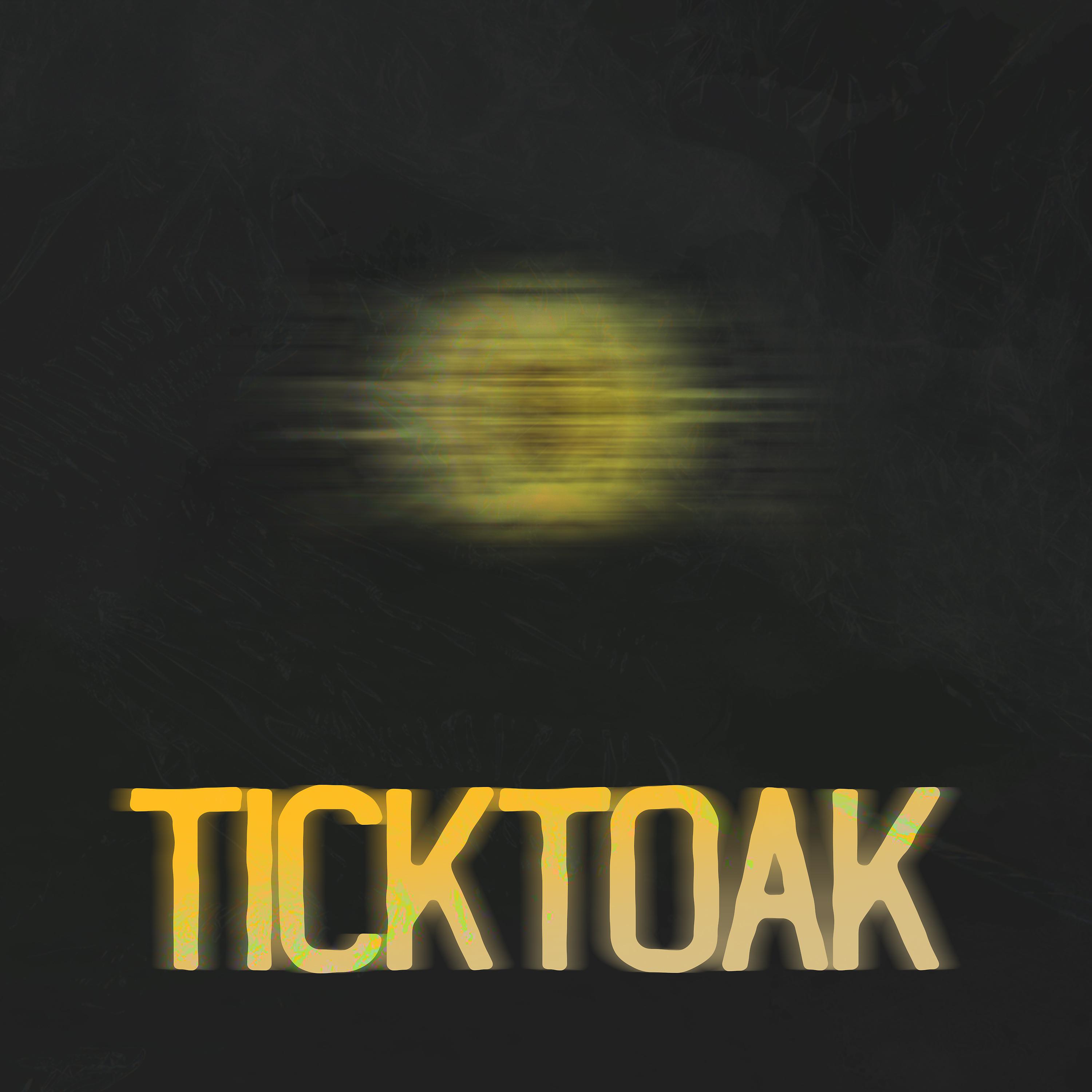 Постер альбома Ticktoak