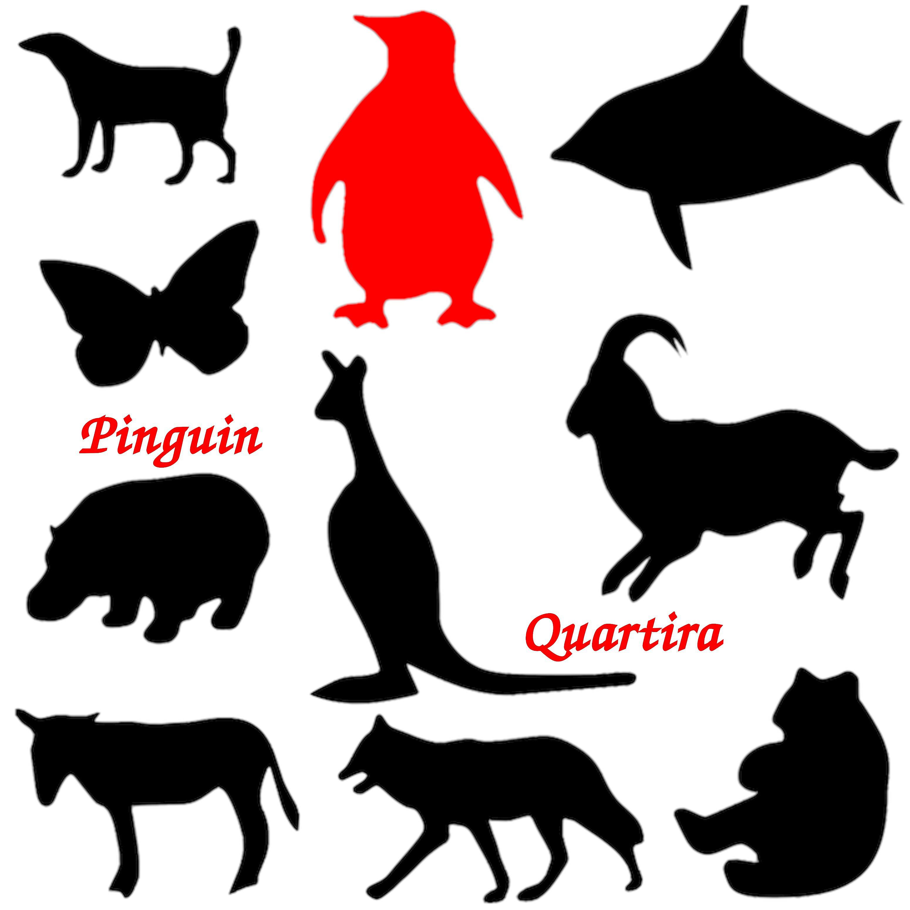 Постер альбома Pinguin