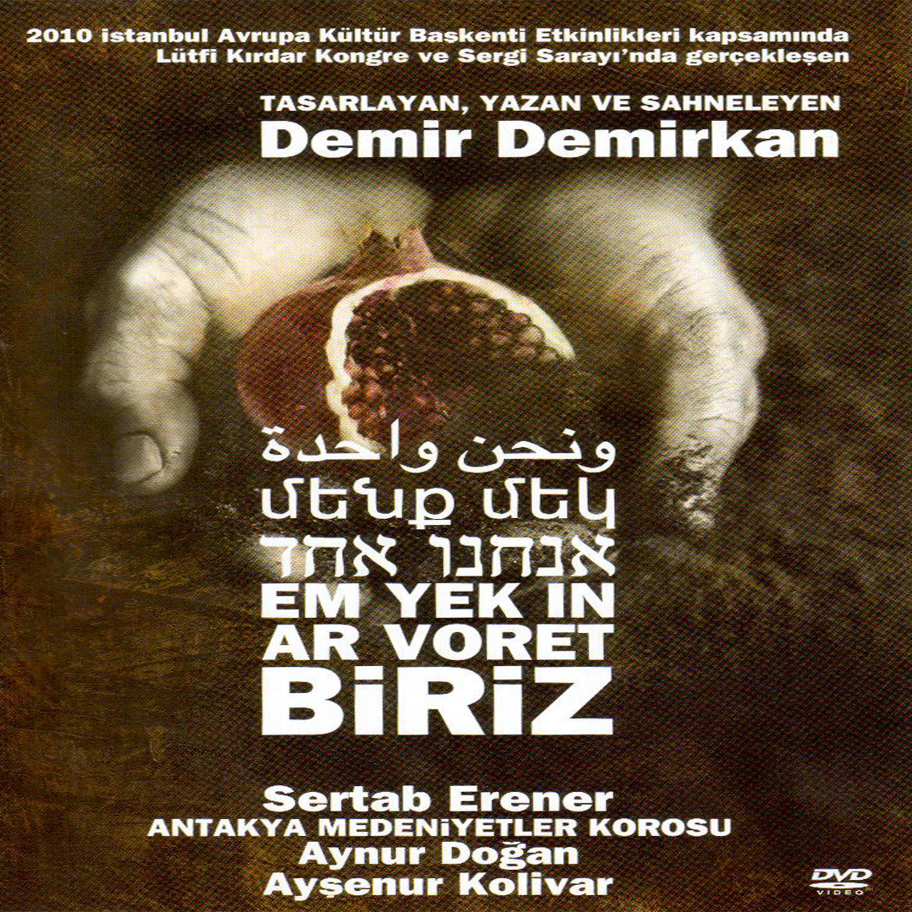 Постер альбома Biriz