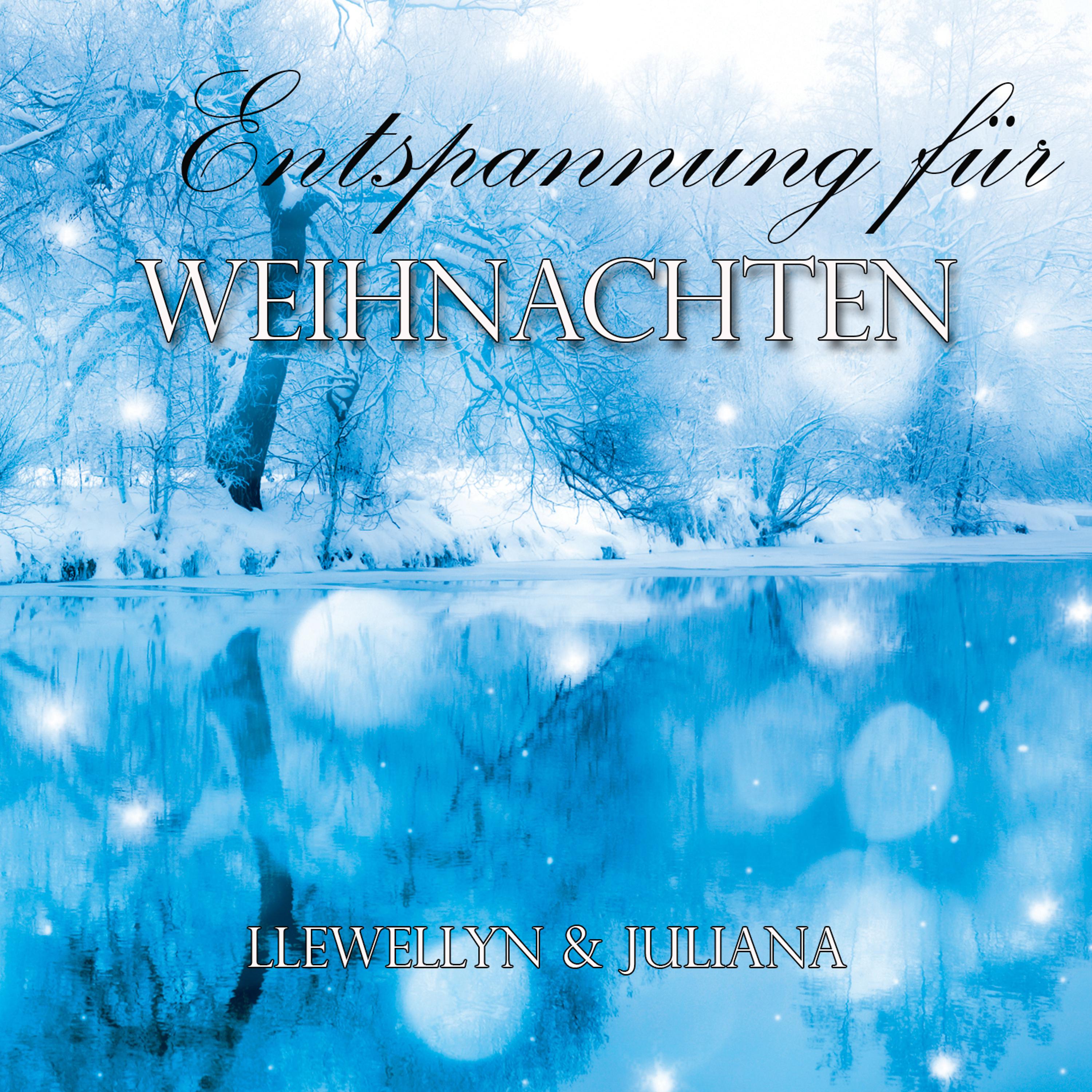Постер альбома Entspannung für Weihnachten